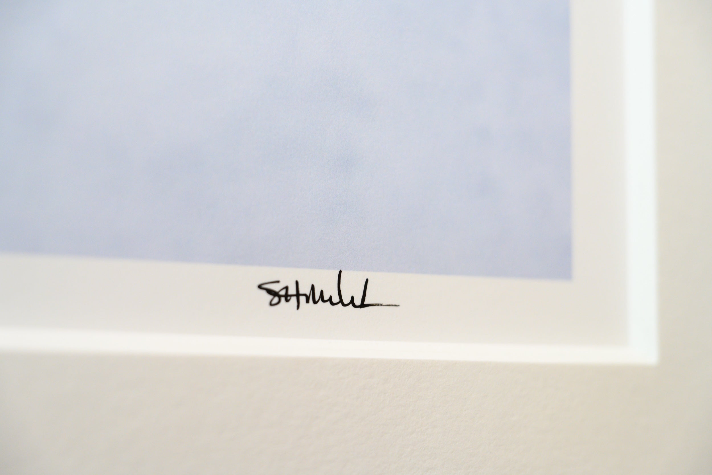 Aspen Leaf in Snow: Limited Edition Framed Print