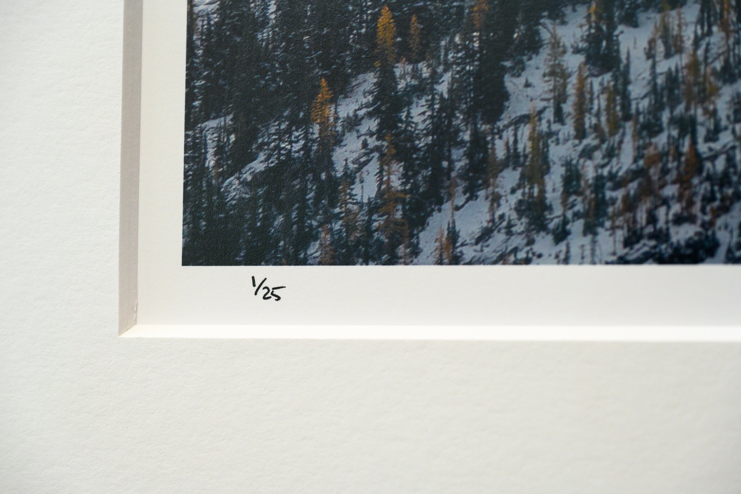 Copper Peak with Larches and Fresh Snow: Limited Edition Framed Print