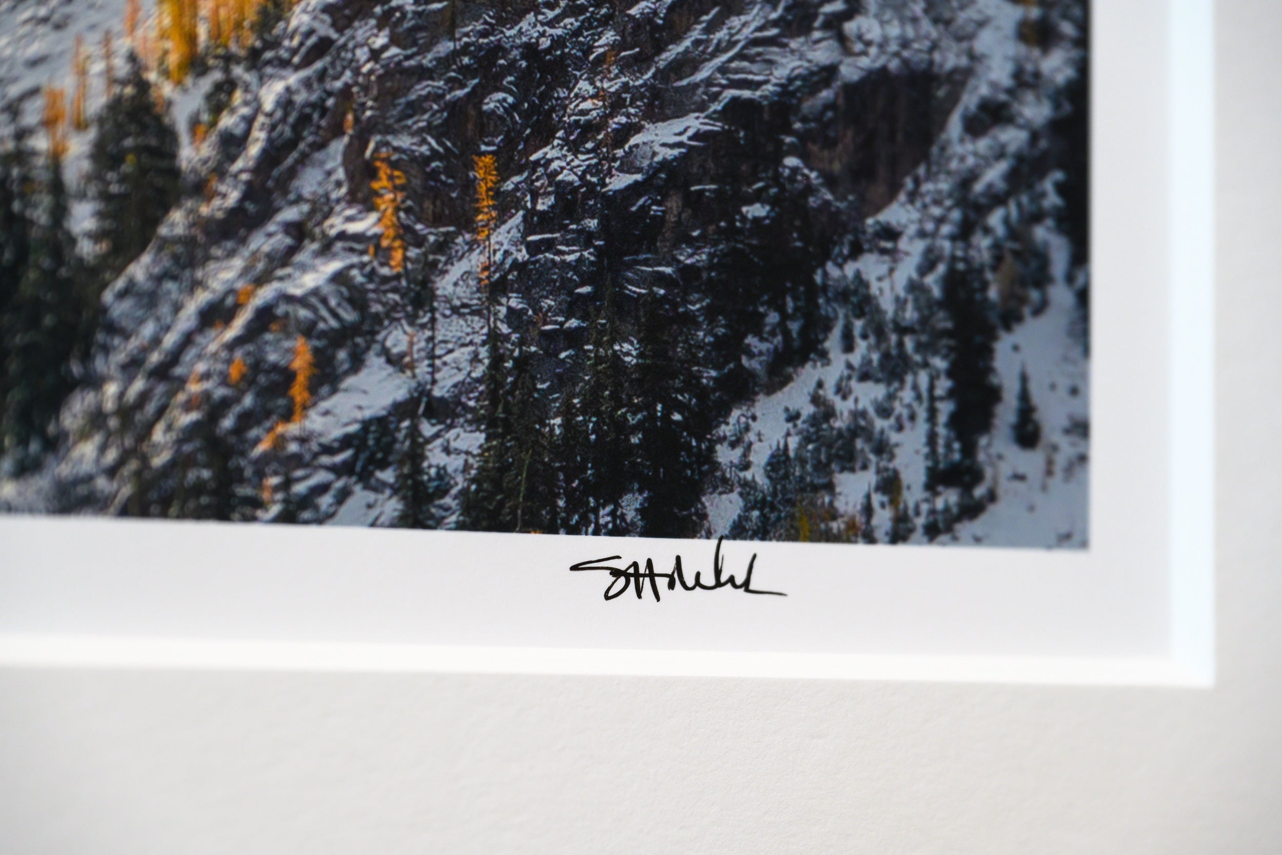 Copper Peak with Larches and Fresh Snow: Limited Edition Framed Print