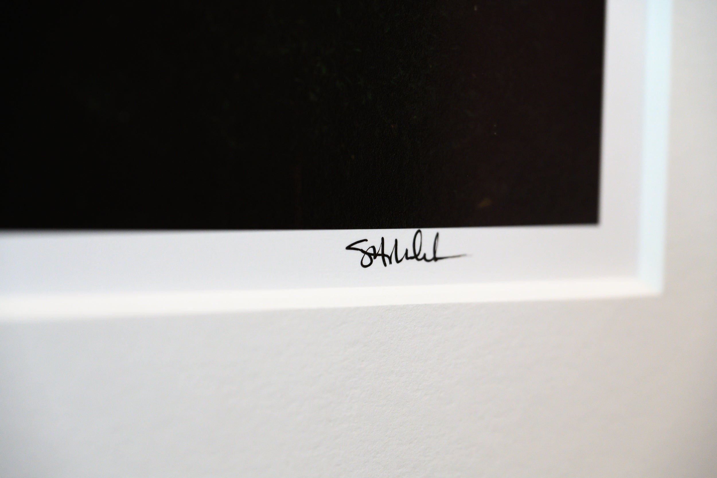 Cottonwood Tree below Mount Si: Limited Edition Framed Print