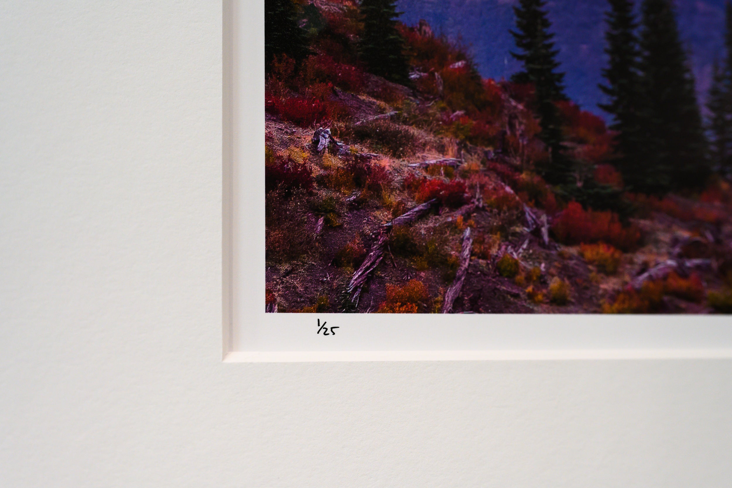 Mount St. Helens Sunrise from Norway Pass: Limited Edition Framed Print