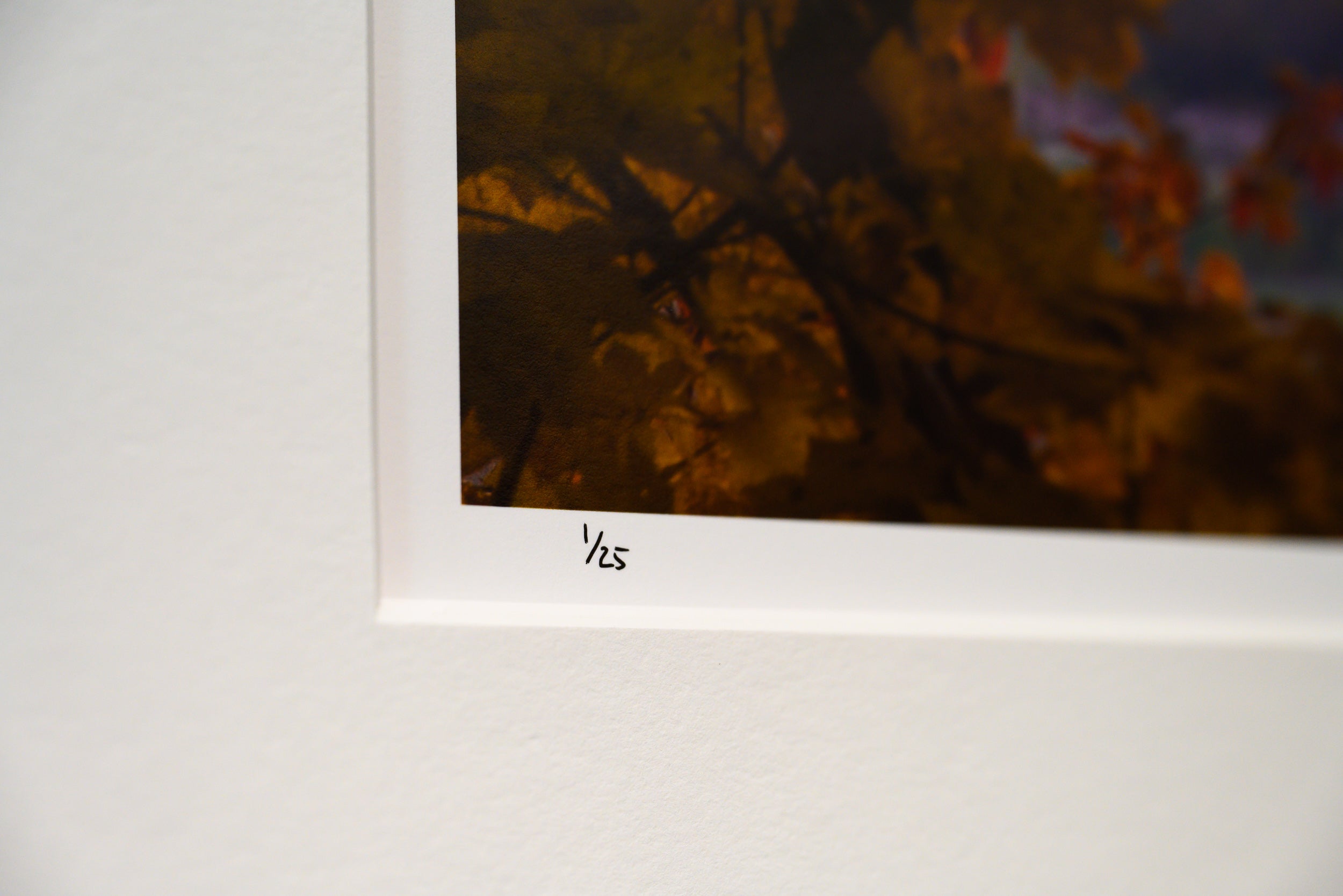 Mount Adams Sunrise with Vine Maple: Limited Edition Framed Print