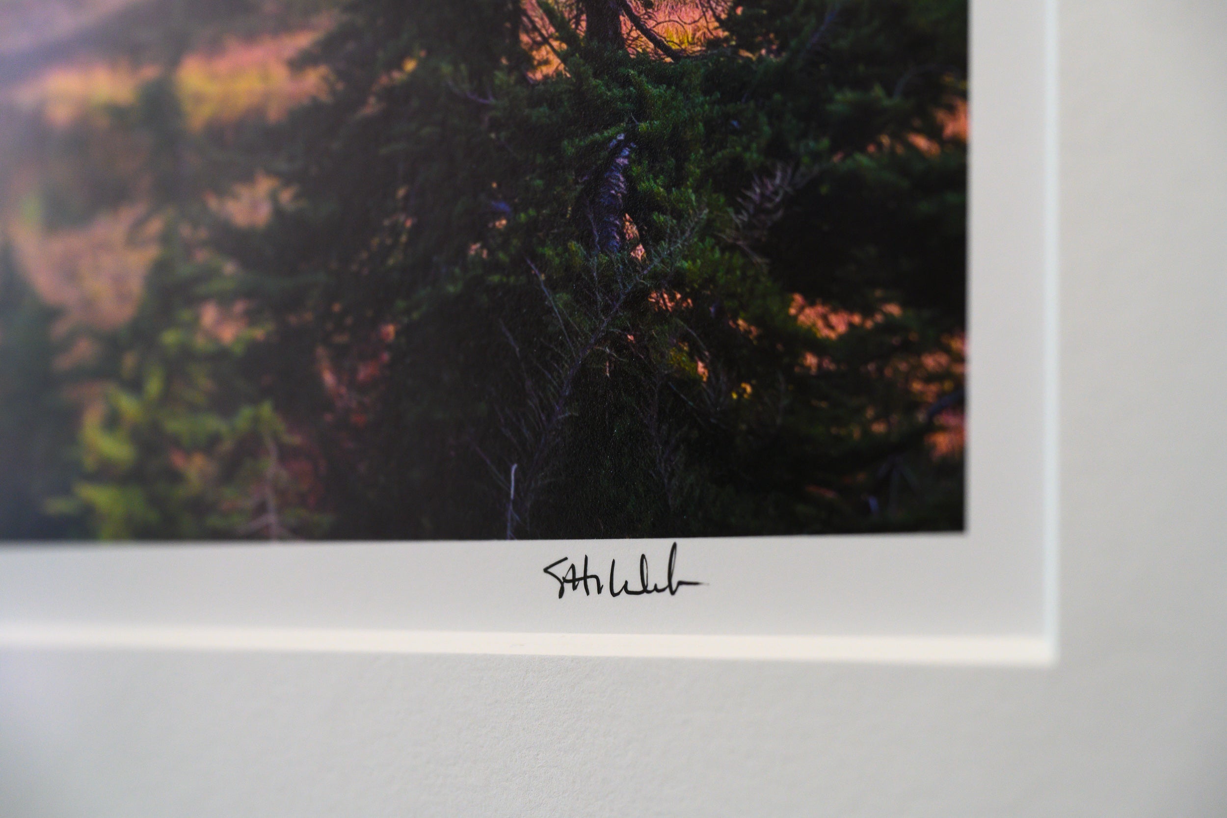 Mount Shuksan with Fresh Autumn Snow: Limited Edition Framed Print