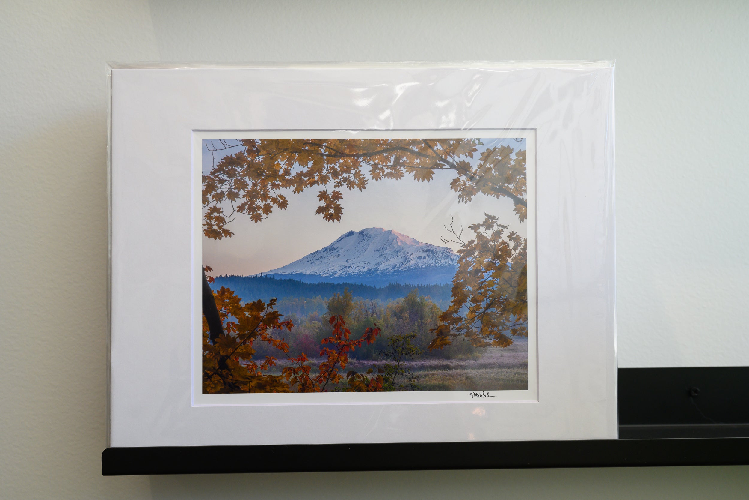 Mount Adams Sunrise with Vine Maples: Matted 8x10 Print