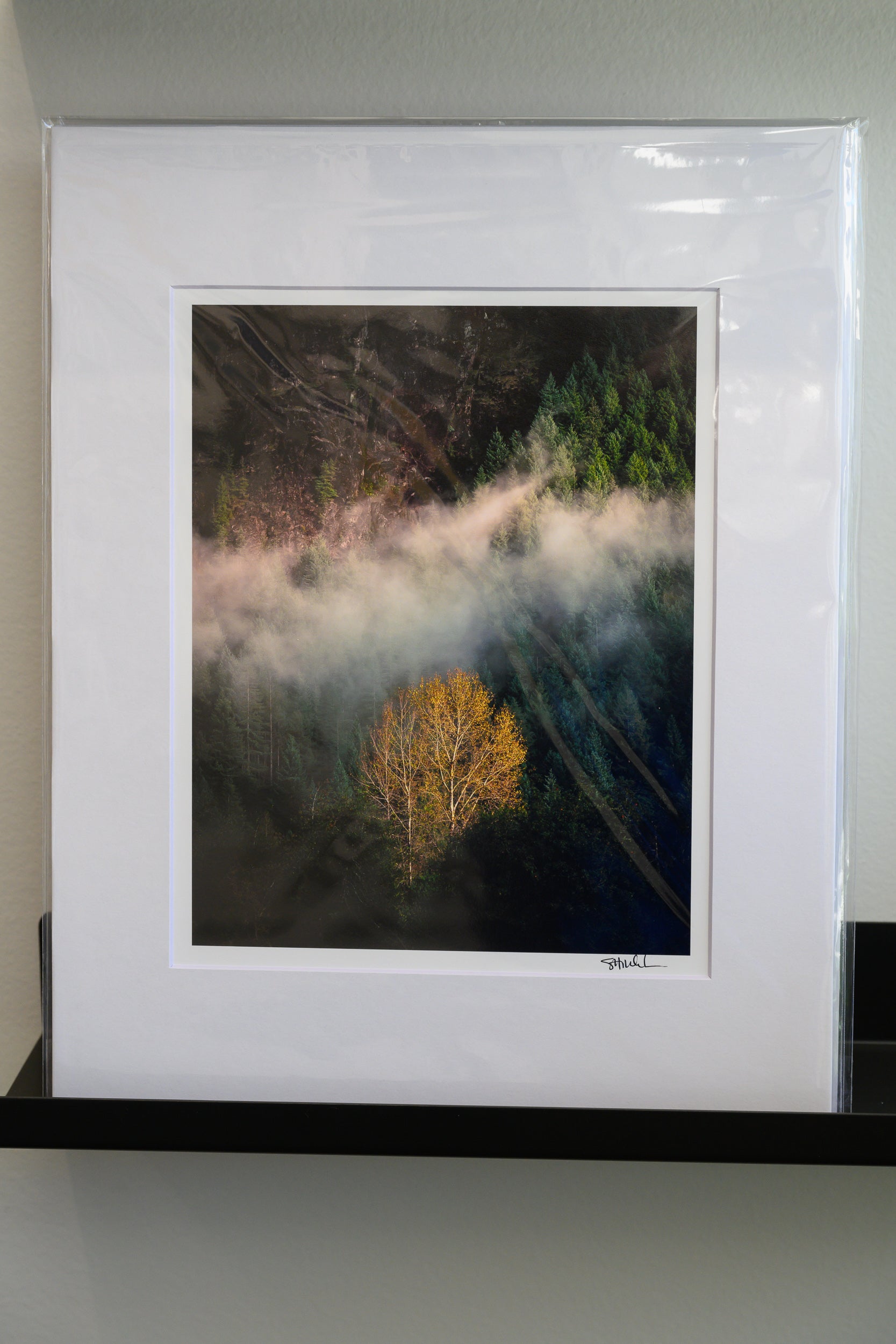 Cottonwood Tree Below Mount Si: Matted 8x10 Print