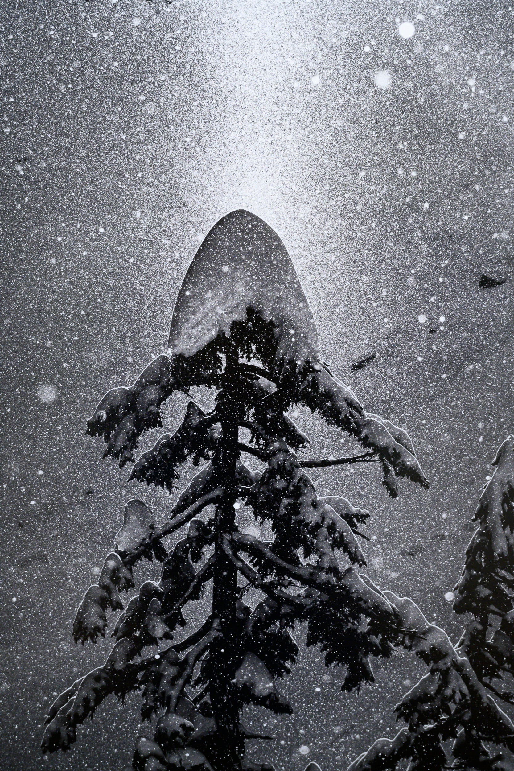 Beam of Sunlight on Bryant Peak: 24x36 Limited Edition Print