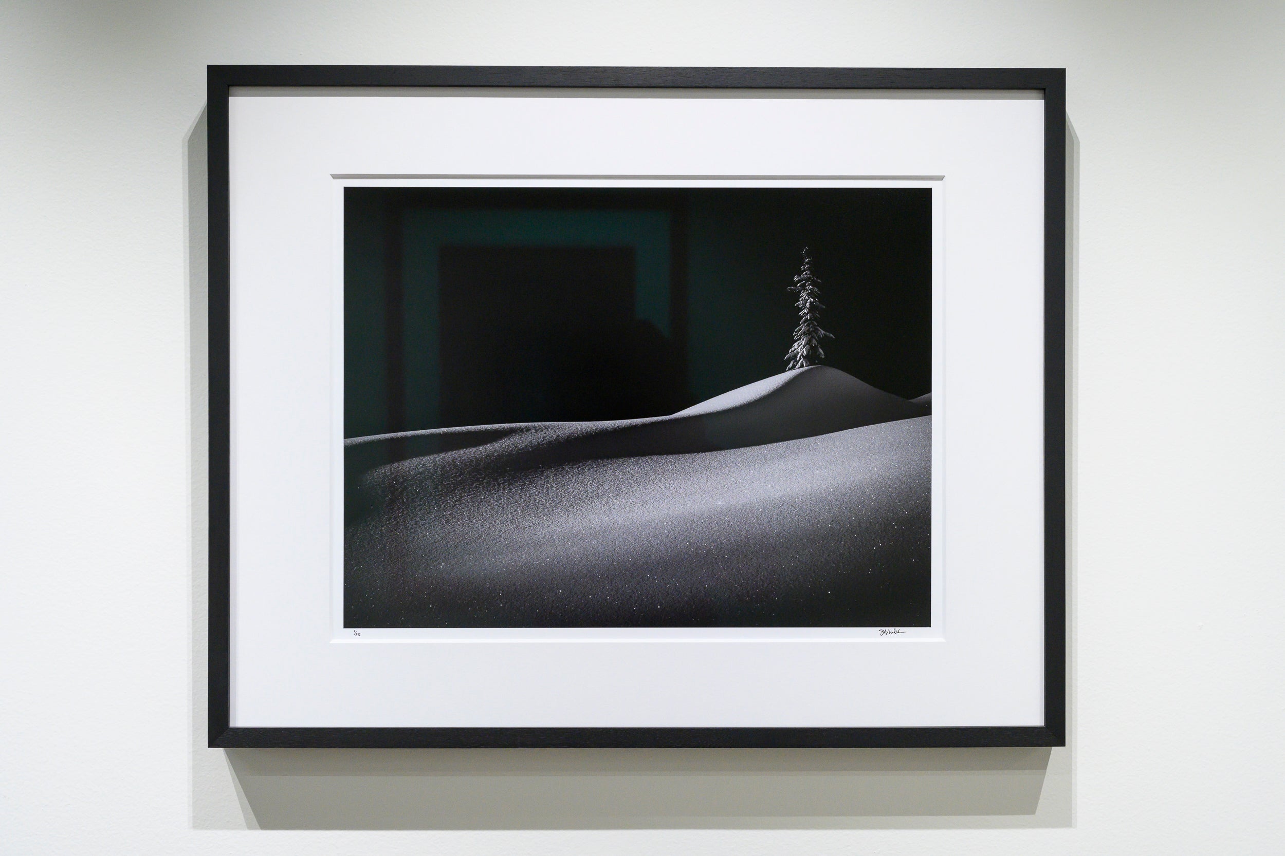 Lone Tree in the Shadow of Hemlock Peak: Limited Edition Framed Print