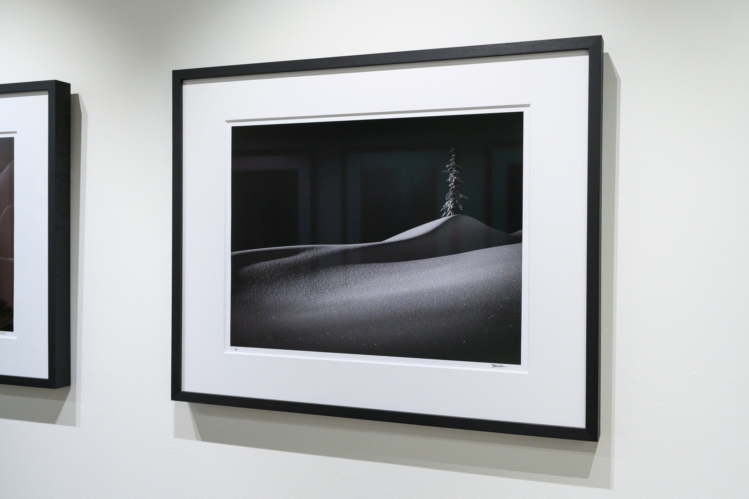 Lone Tree in the Shadow of Hemlock Peak: Limited Edition Framed Print