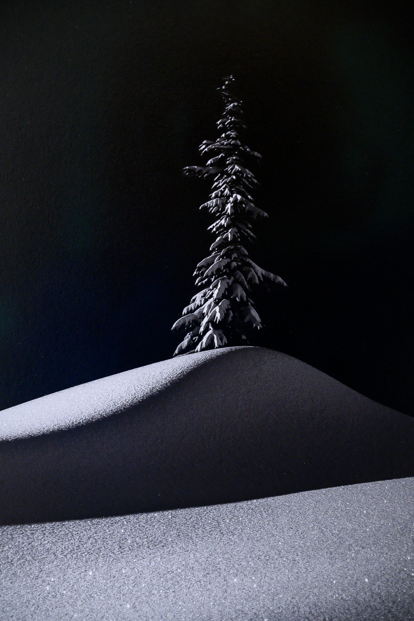 Lone Tree in the Shadow of Hemlock Peak: Limited Edition Framed Print