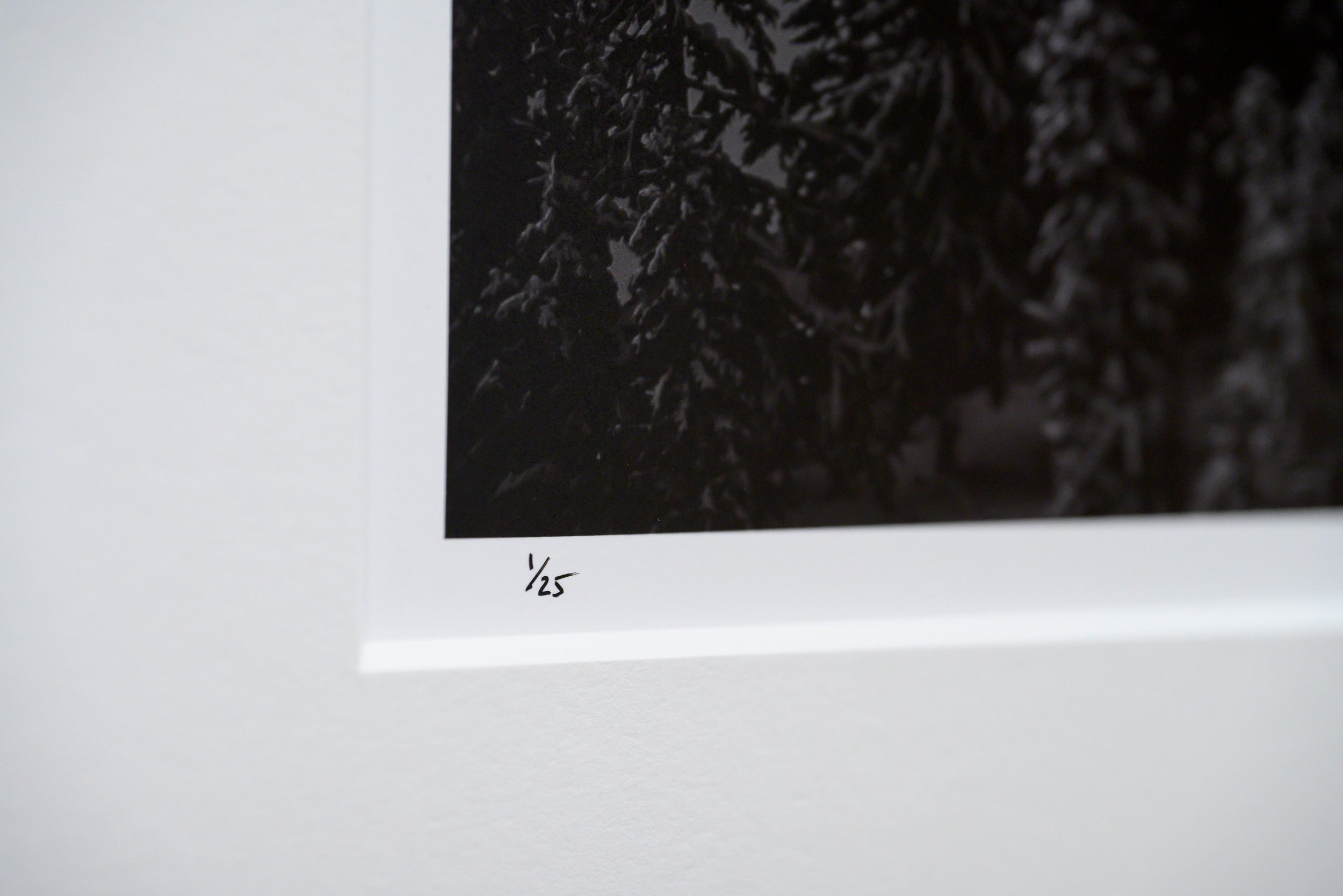 Waves of Snow on Tuscohatchie Lake: Limited Edition Framed Print