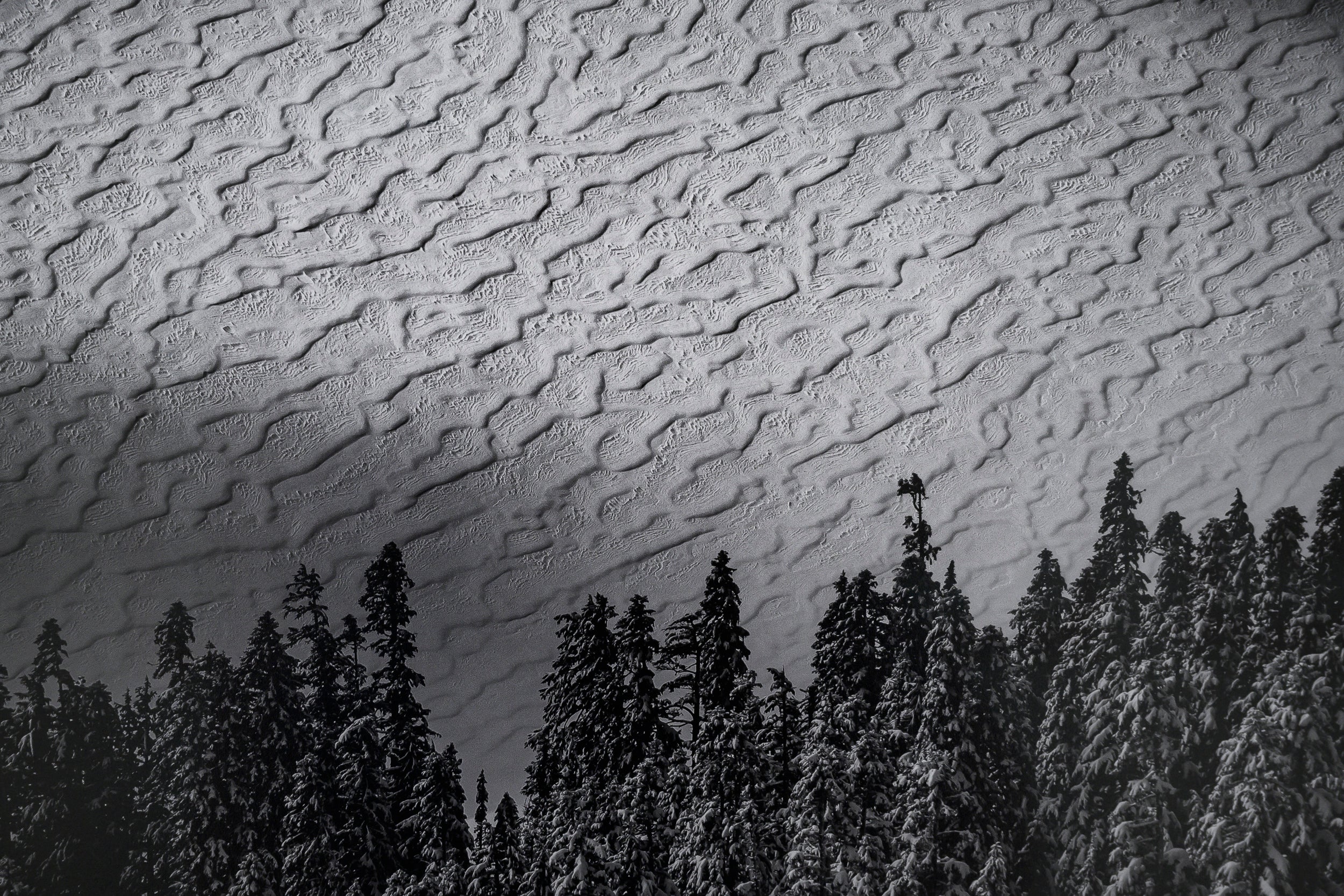 Waves of Snow on Tuscohatchie Lake: Limited Edition Framed Print