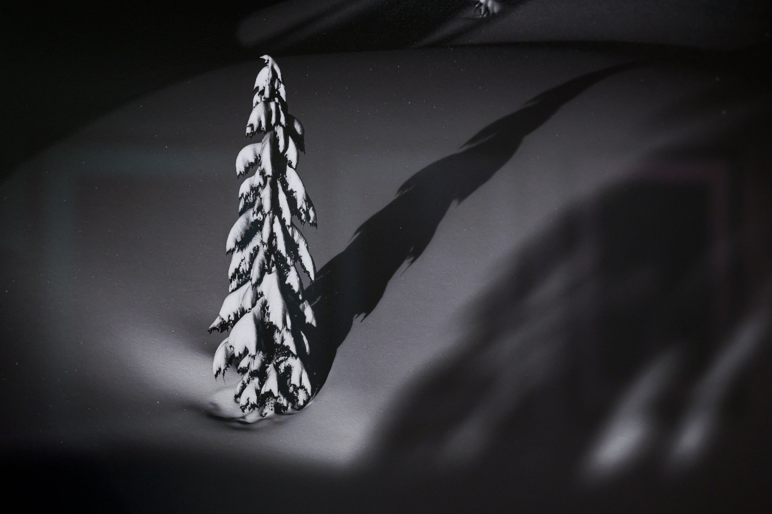 Long Shadows over Morning Perfection near Gem Lake: Limited Edition Framed Print