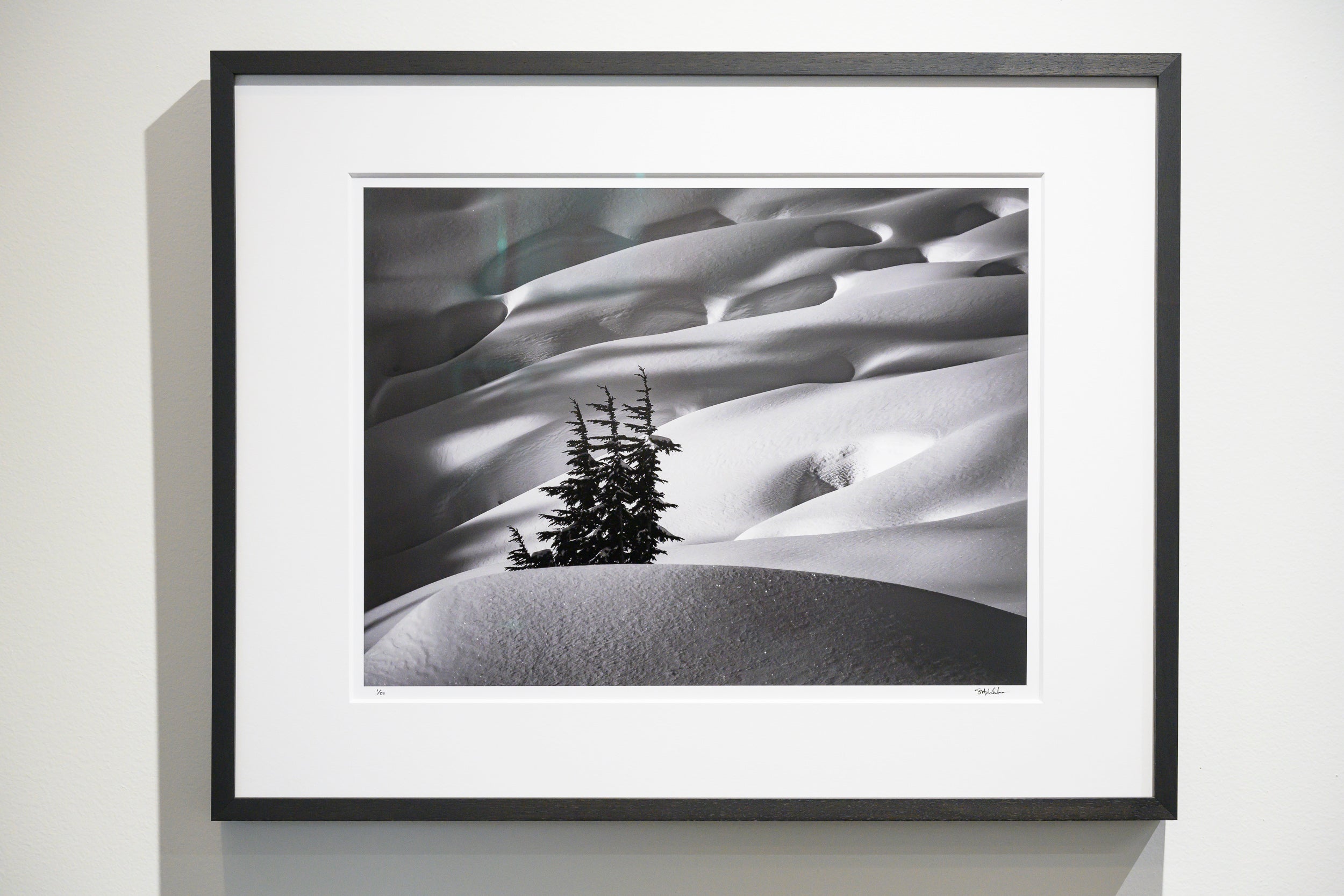 Mountain Hemlock Stand above Source Lake: Limited Edition Framed Print
