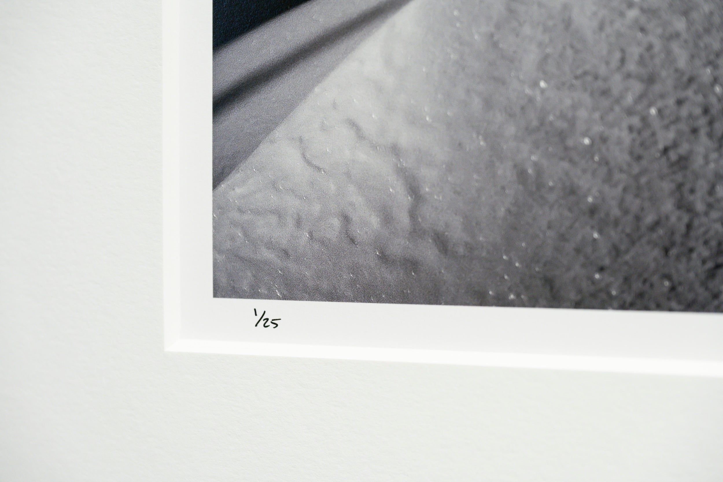 Mountain Hemlock Stand above Source Lake: Limited Edition Framed Print