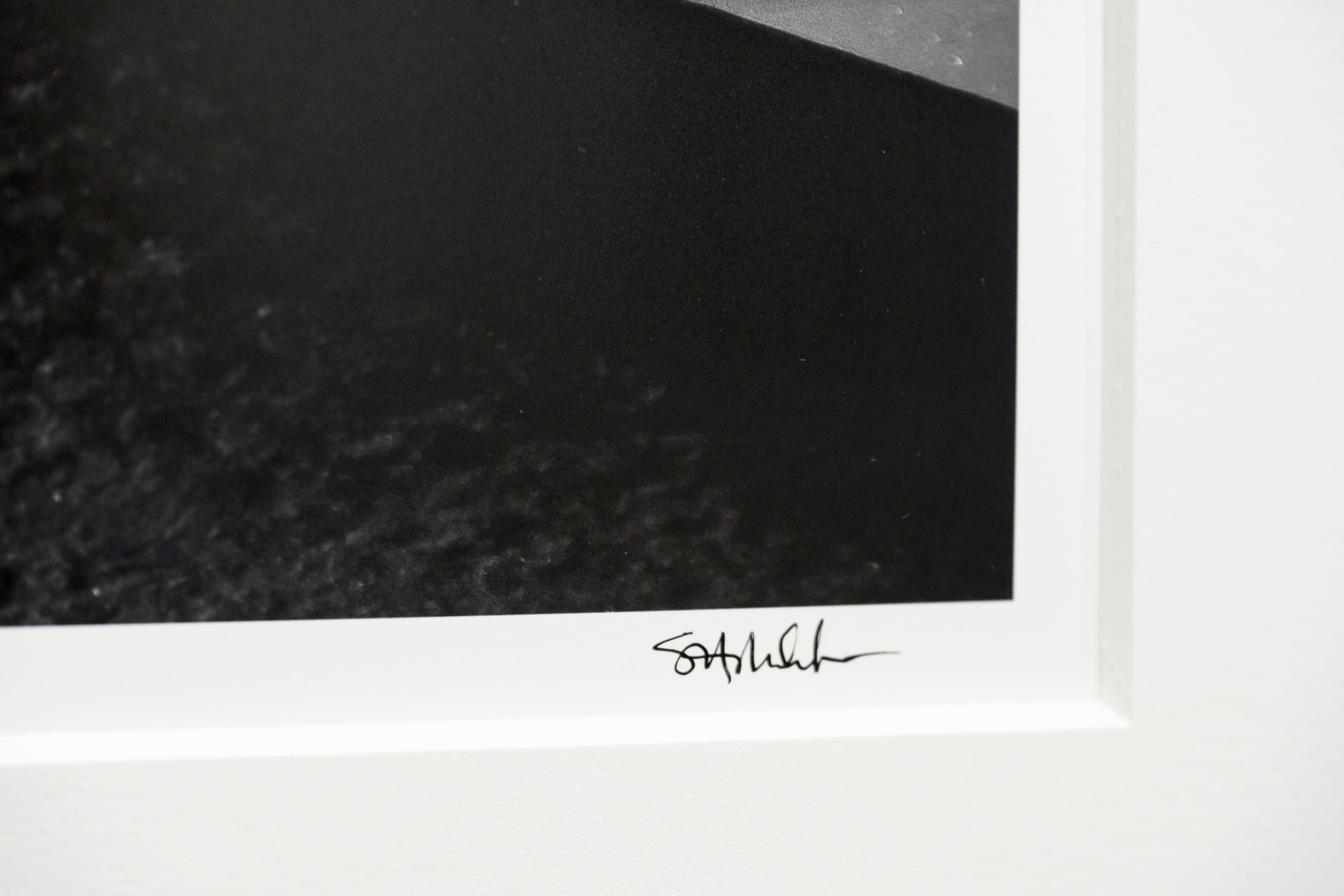 Mountain Hemlock Stand above Source Lake: Limited Edition Framed Print