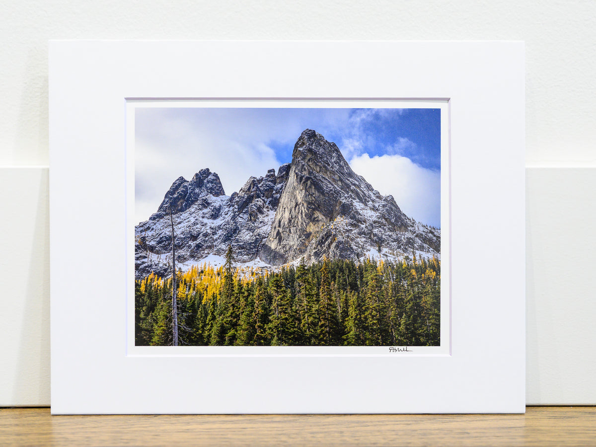 Golden Larches and October Snowfall on Liberty Group: 8x10 Open Edition Matted Print