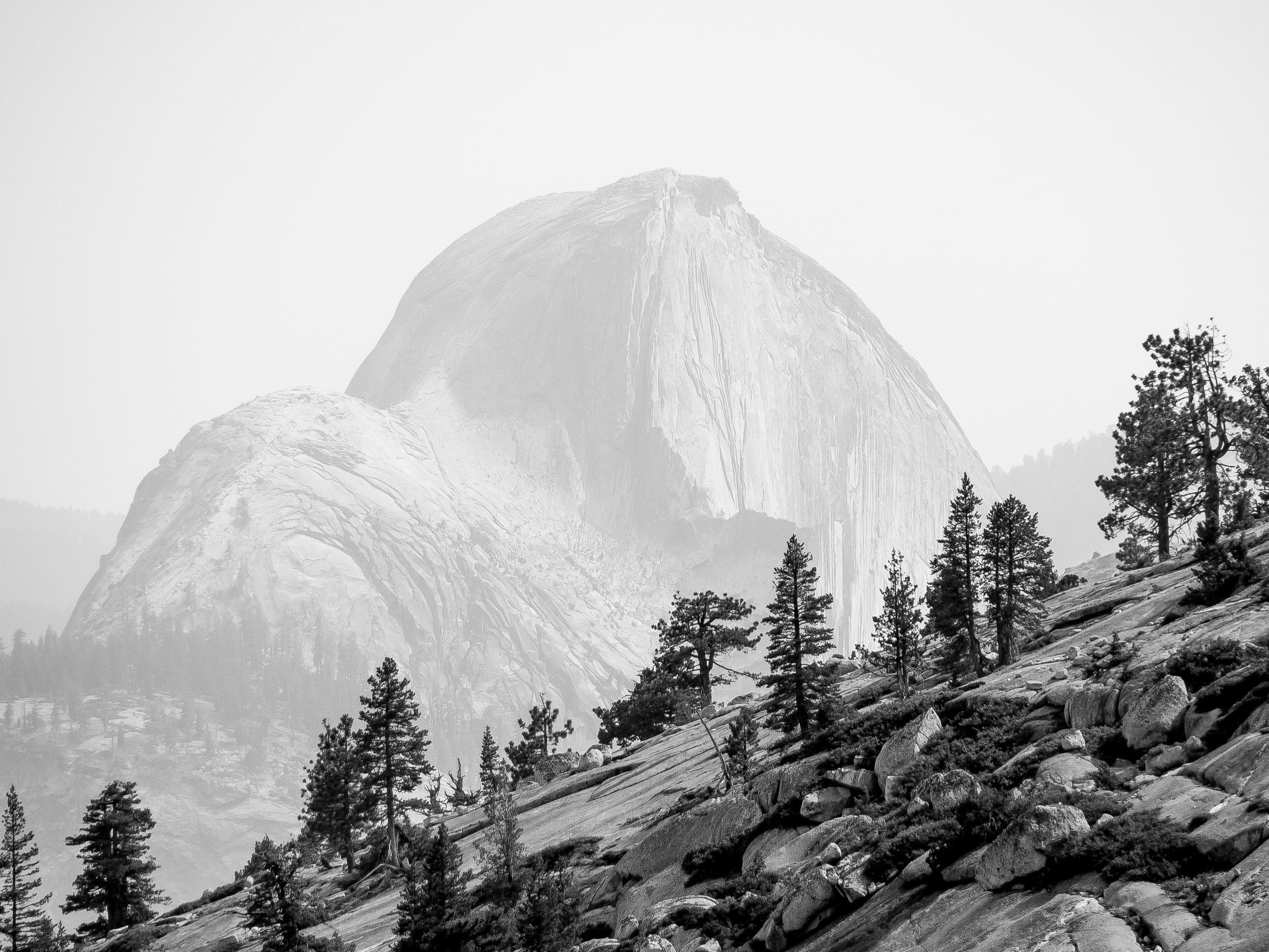Half Dome from Olmstead Point: Limited Edition Framed Print