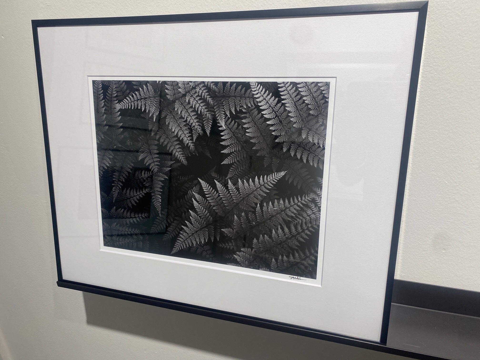 Wood Fern Gradations 11x14 Open Edition Print, Matted and Framed - Gallery Pickup Only