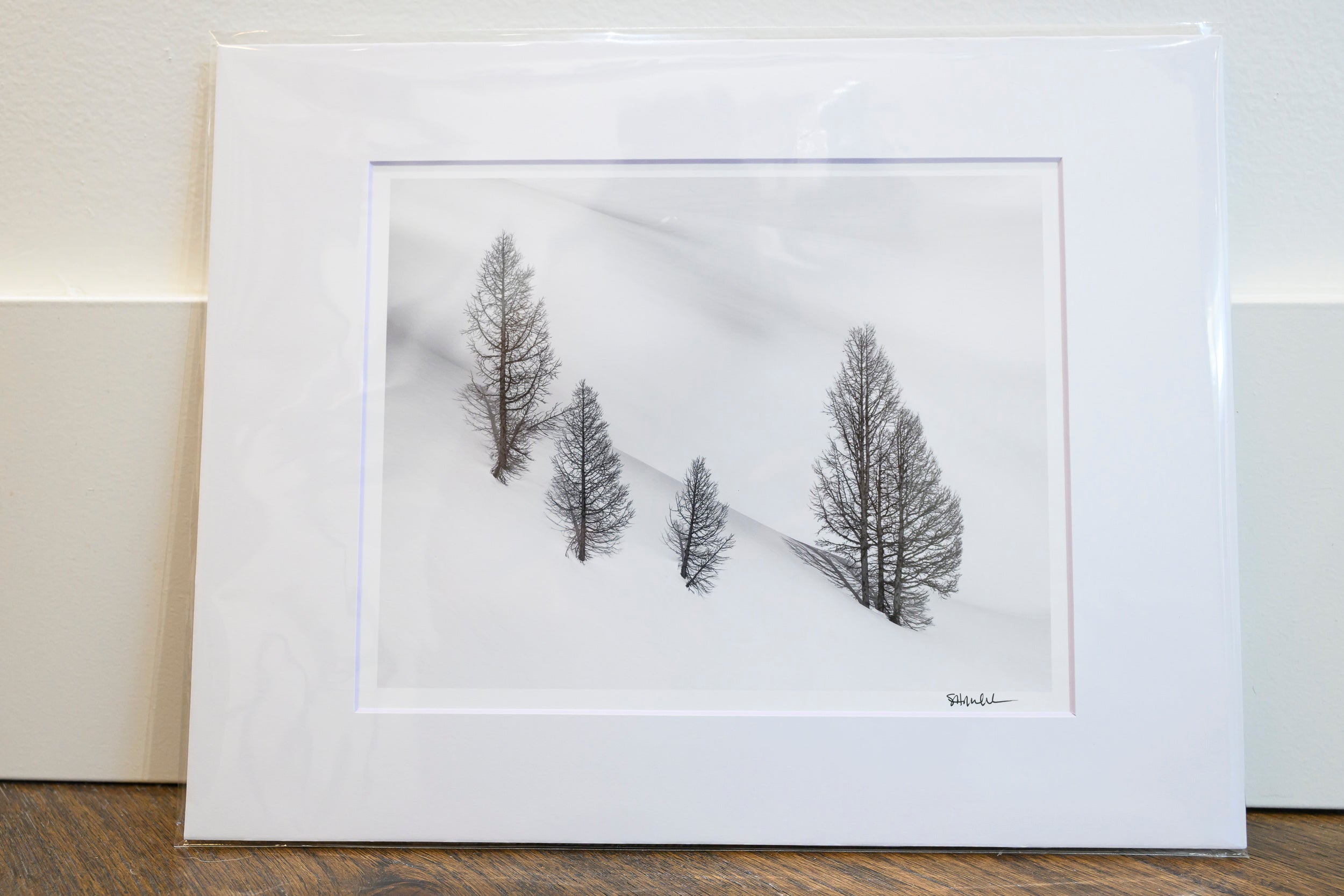 Larch Stand on Bannock Mountain: 8x10 Open Edition Matted Print