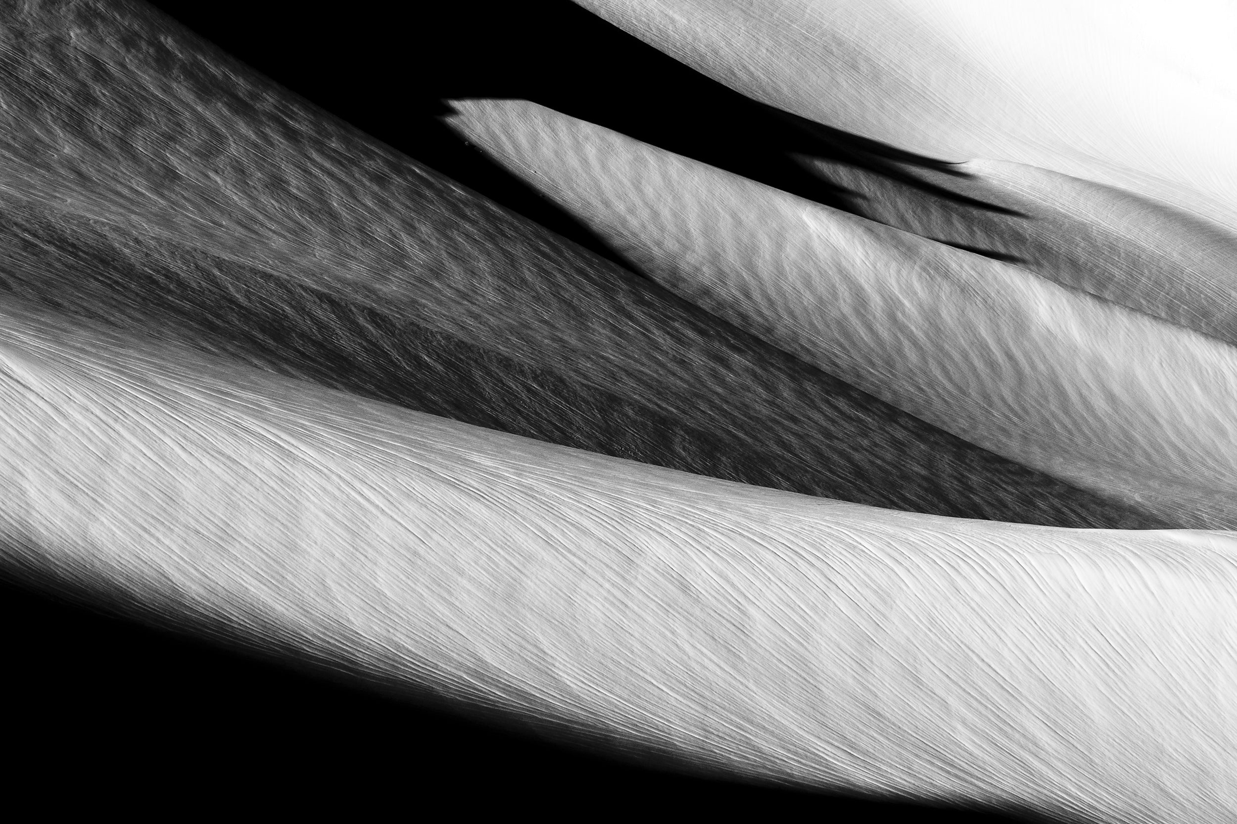Lines and Light on Sitkum Glacier: Limited Edition Print