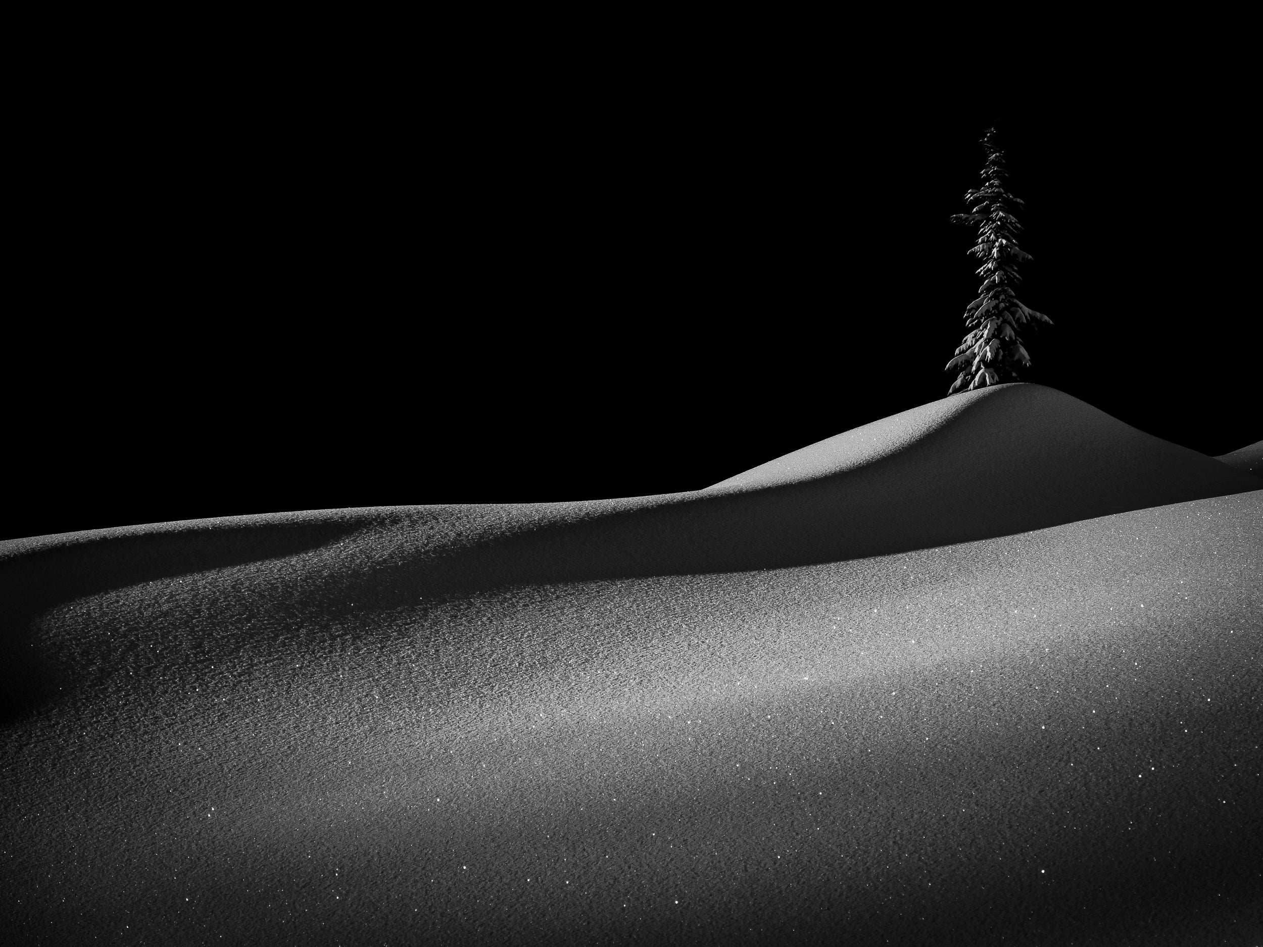 Lone Tree in the Shadow of Hemlock Peak: Limited Edition Framed Print