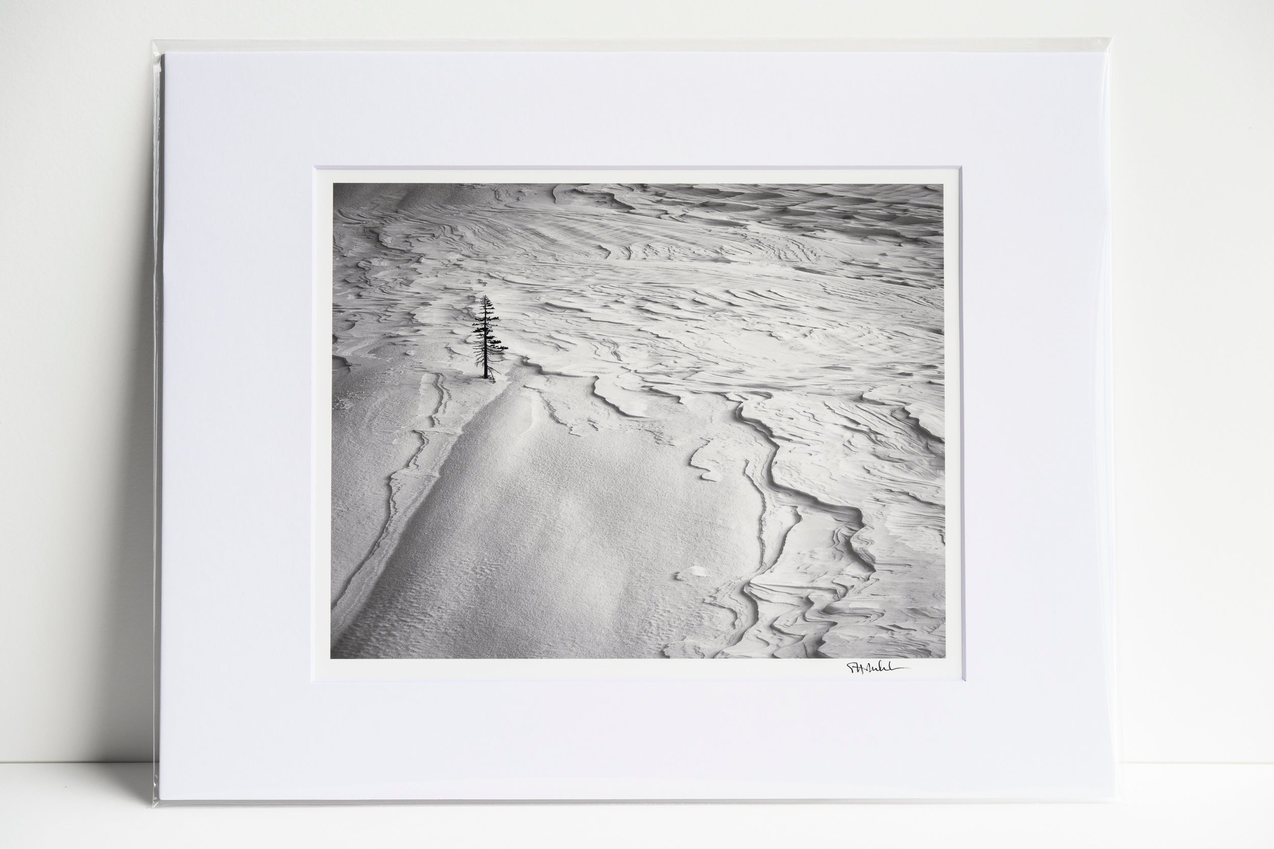 Lone Tree with Wind Texture on Big Snow Mountain: Matted 8x10 Print