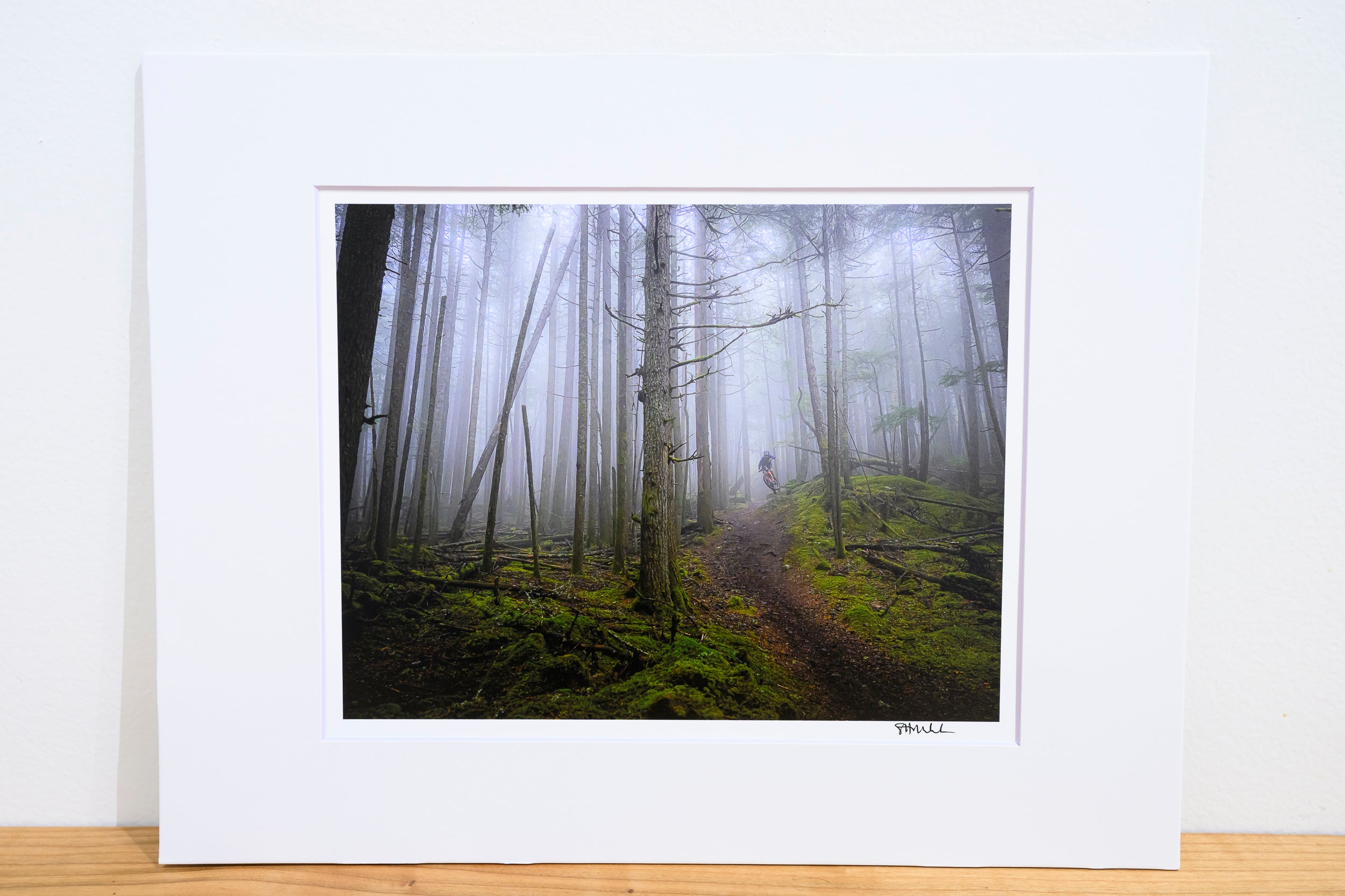 Misty Mount Constitution Side Hits: 8x10 Open Edition Matted Print