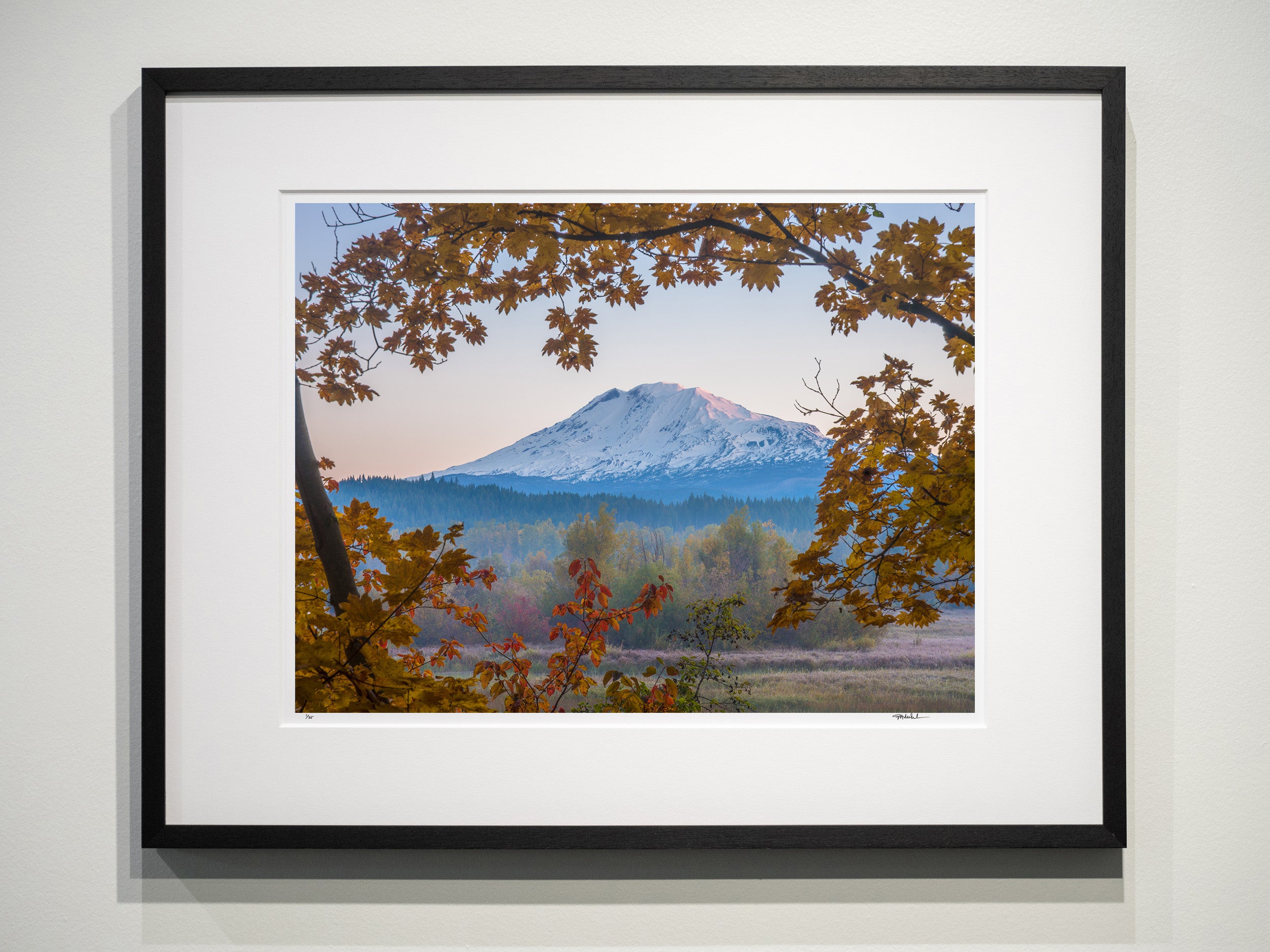 Mount Adams Sunrise with Vine Maple: Limited Edition Framed Print