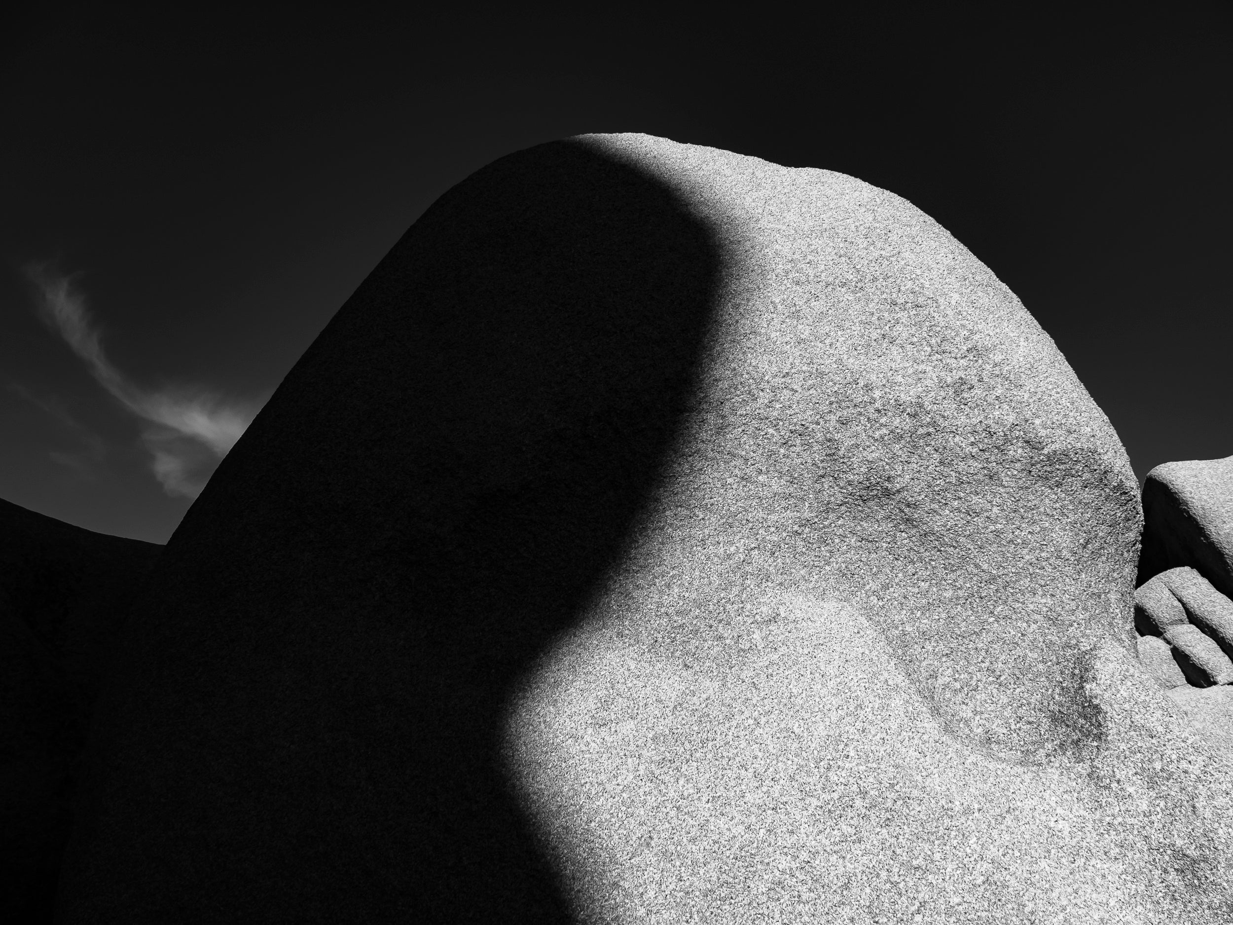 Shadow and Light in Live Oak: Limited Edition Framed Print