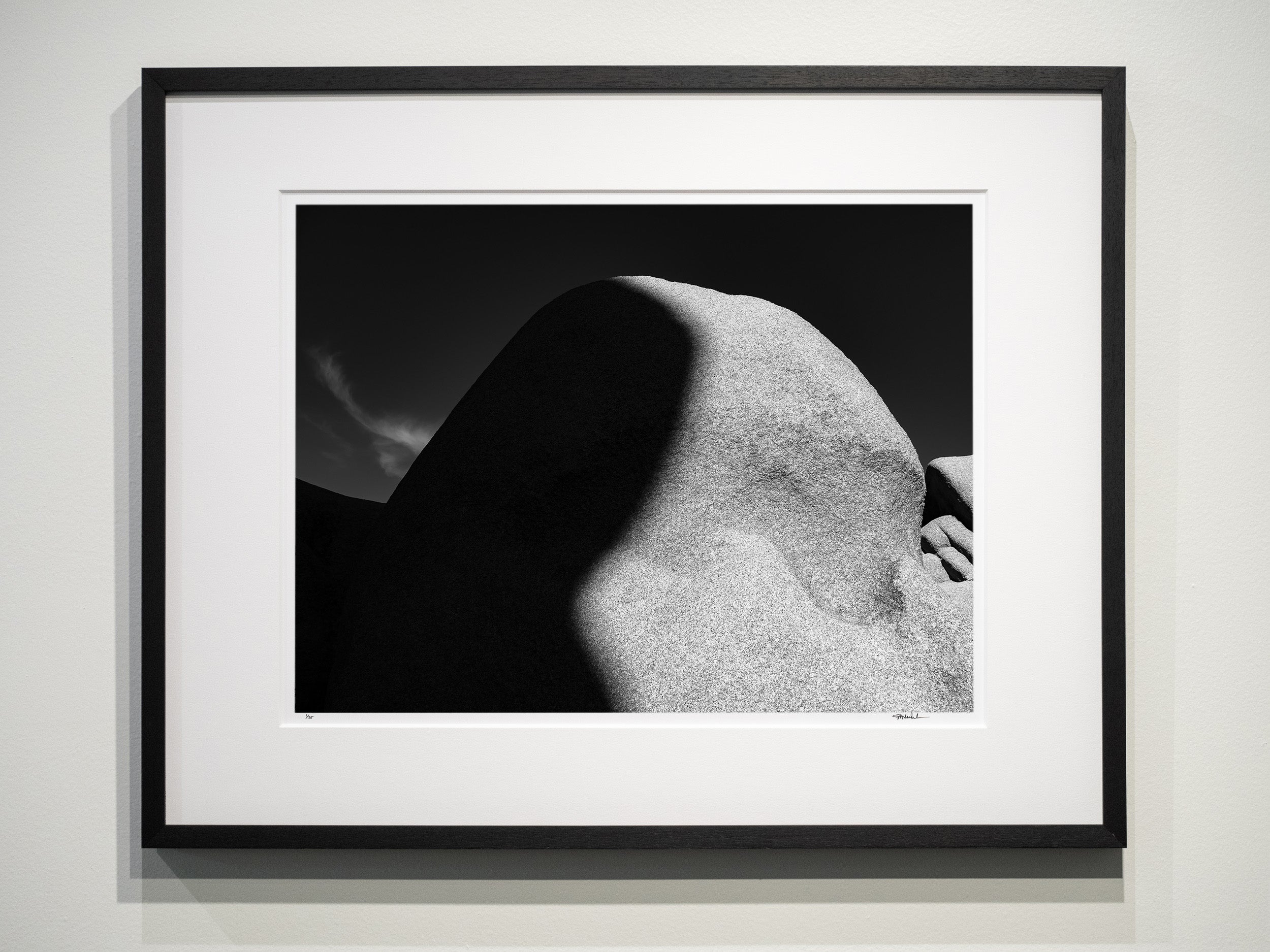 Shadow and Light in Live Oak: Limited Edition Framed Print