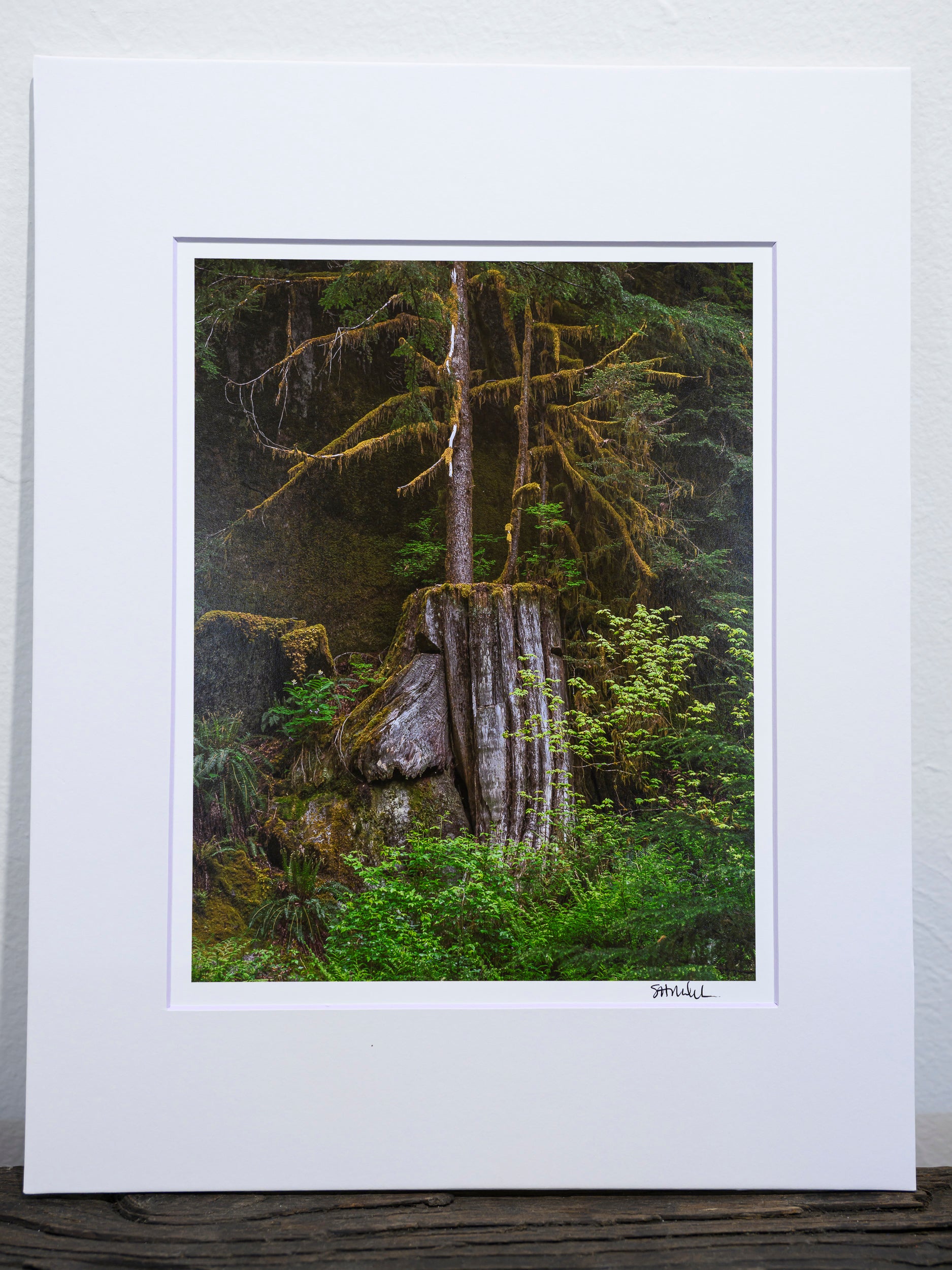 Verdant - Dingford Creek: 8x10 Open Edition Matted Print
