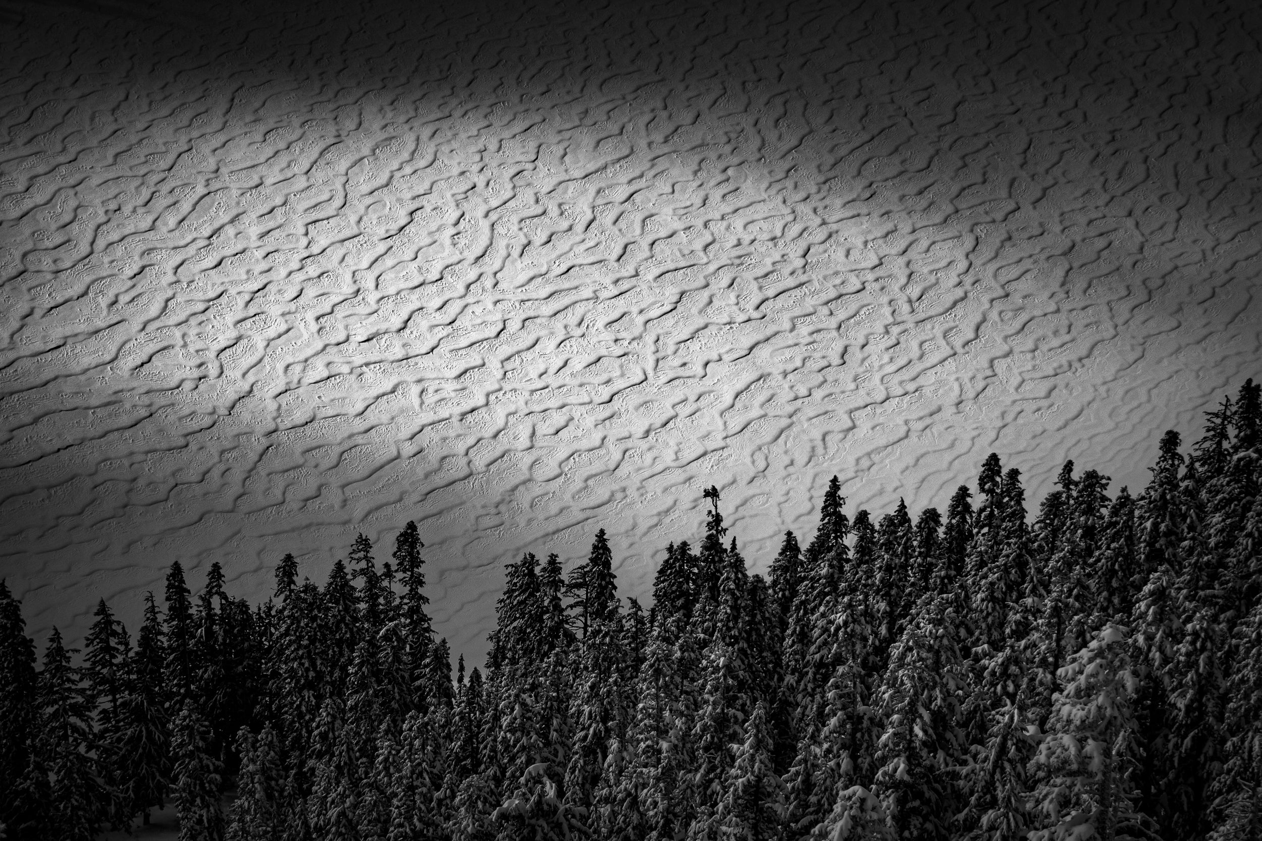 Waves of Snow on Tuscohatchie Lake: Limited Edition Framed Print