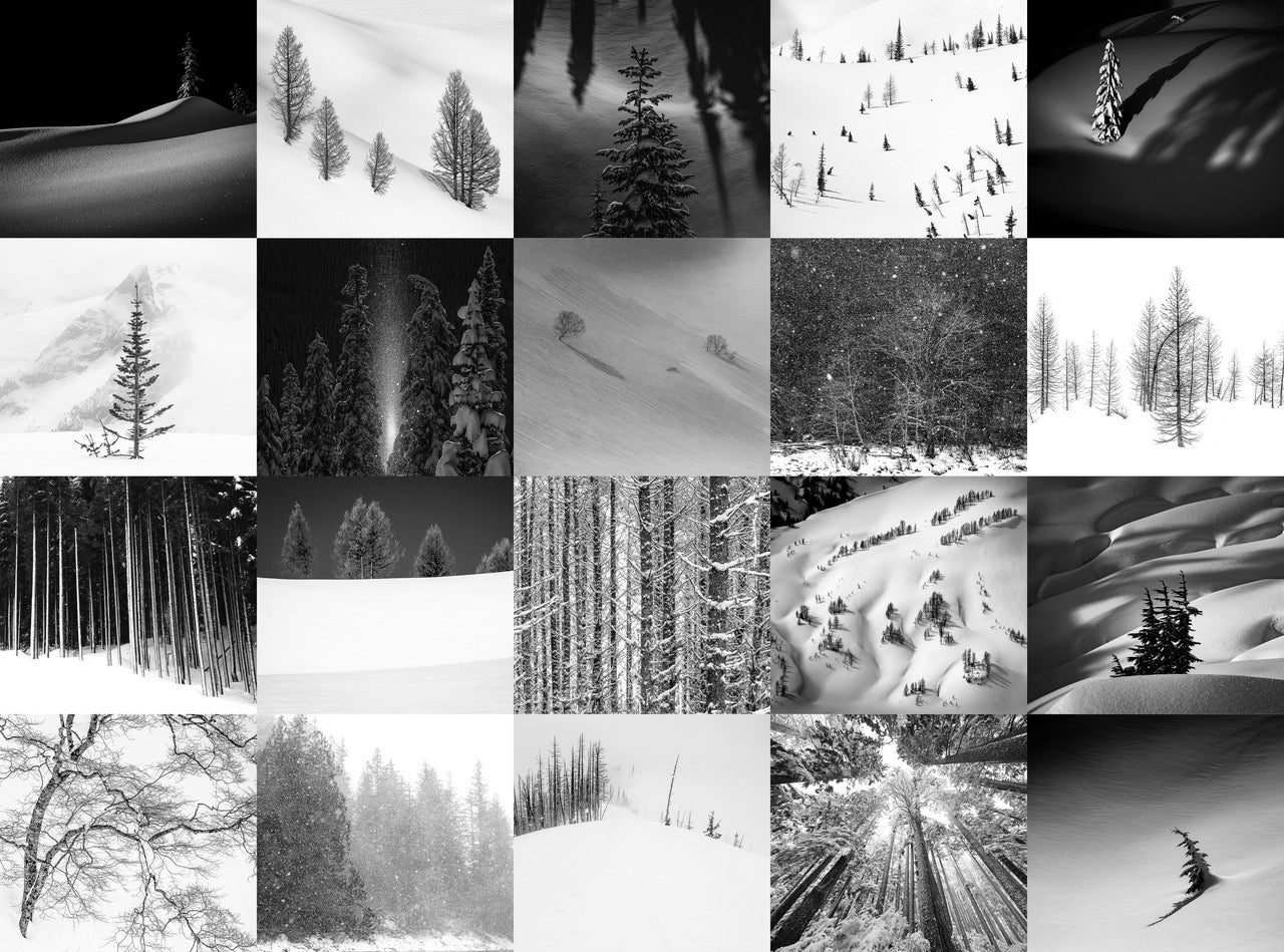 Snowy Trees Gift Wrapping Paper