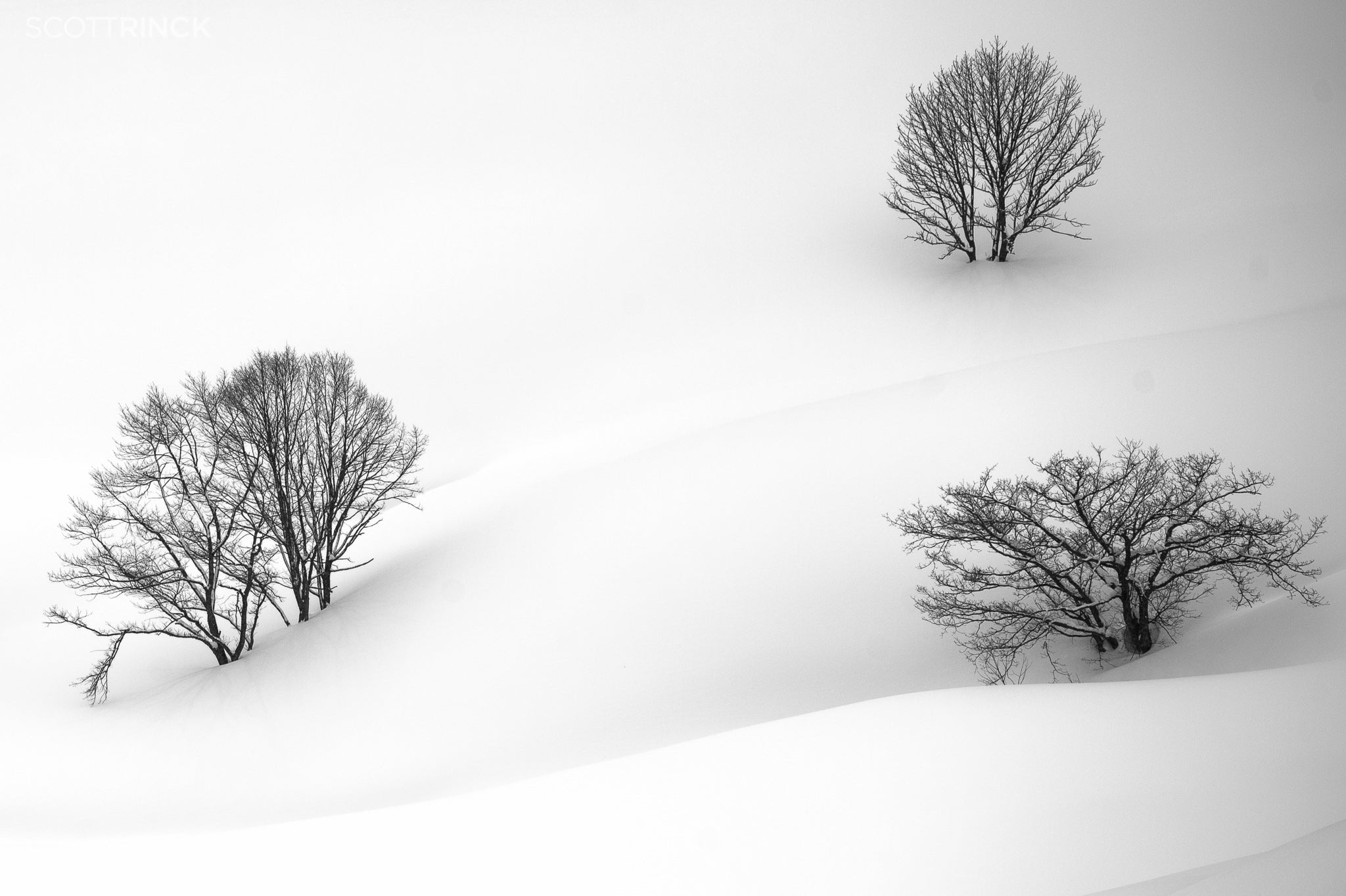 Freshies: Mountain Calligraphy in the Japanese Alps