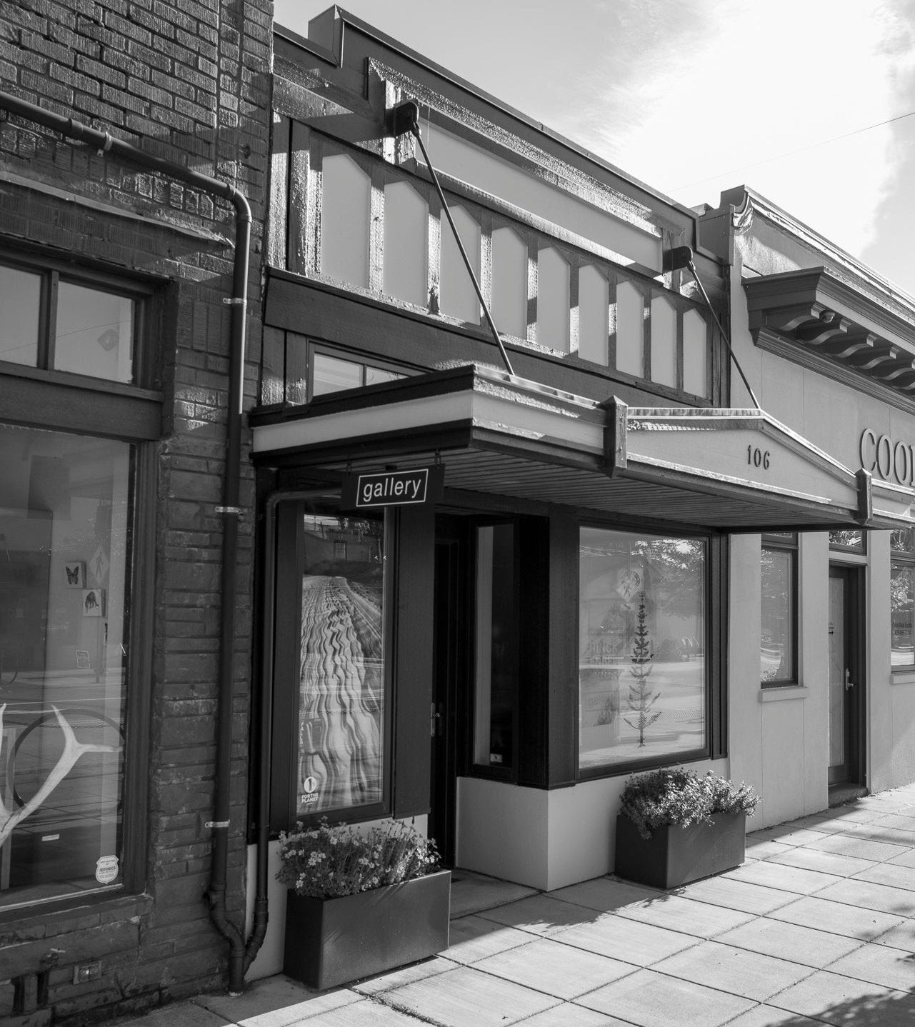 Why a Gallery?