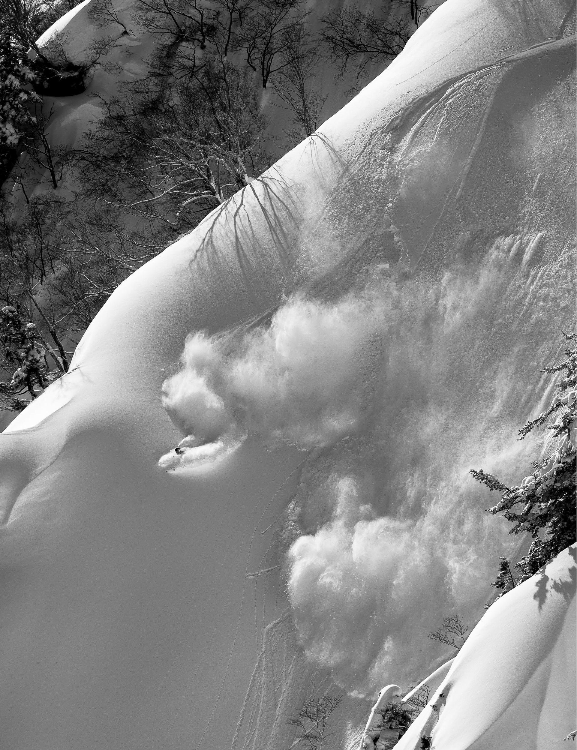 Deep Powder on Goryu Spine: 11x14 Open Edition Matted Print