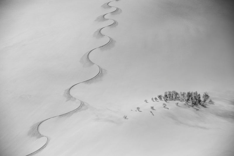 Single Track on Norikura: 24x36 Limited Edition Framed Print