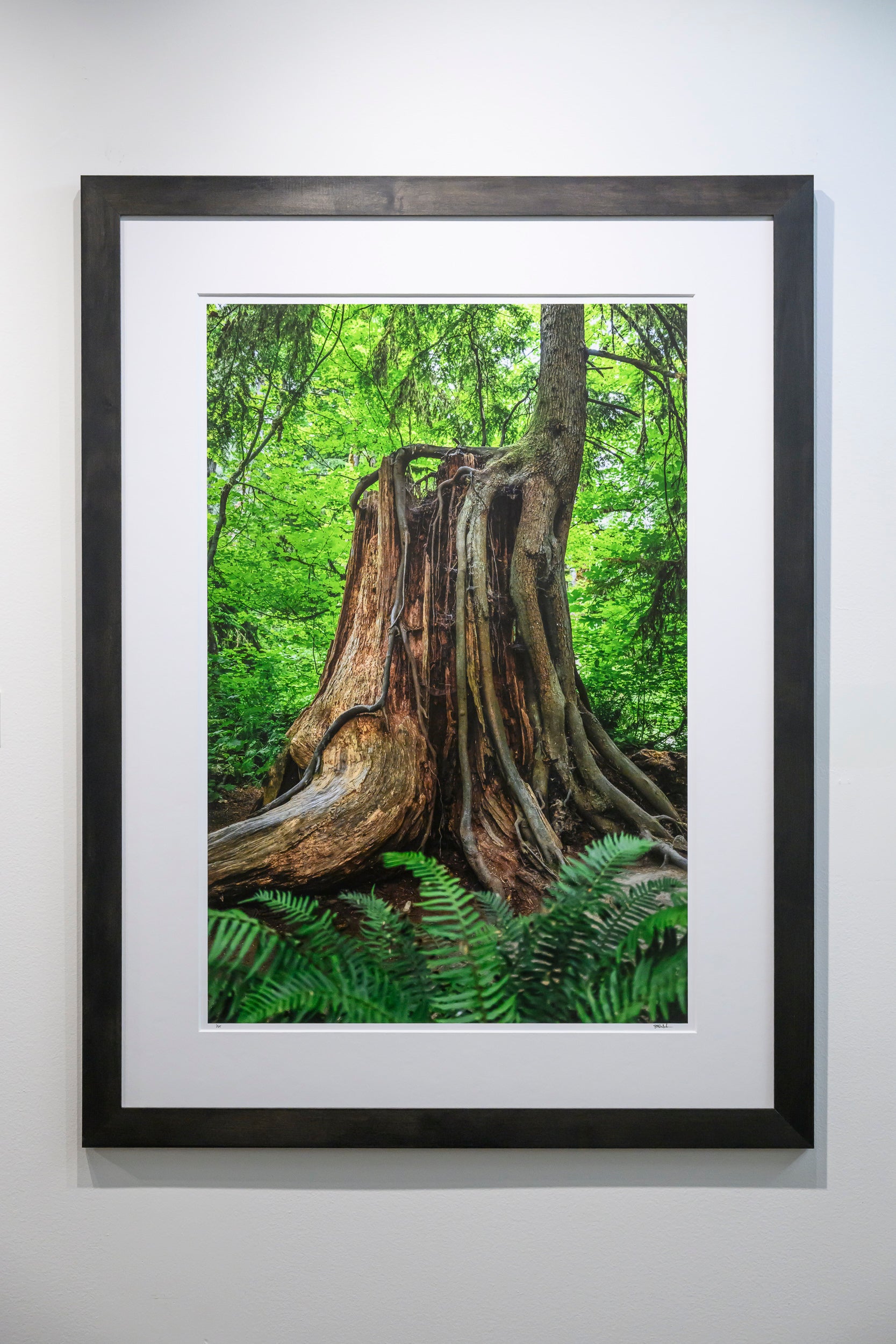 Continuation - Snoqualmie Falls: 24x36 Limited Edition Framed Print