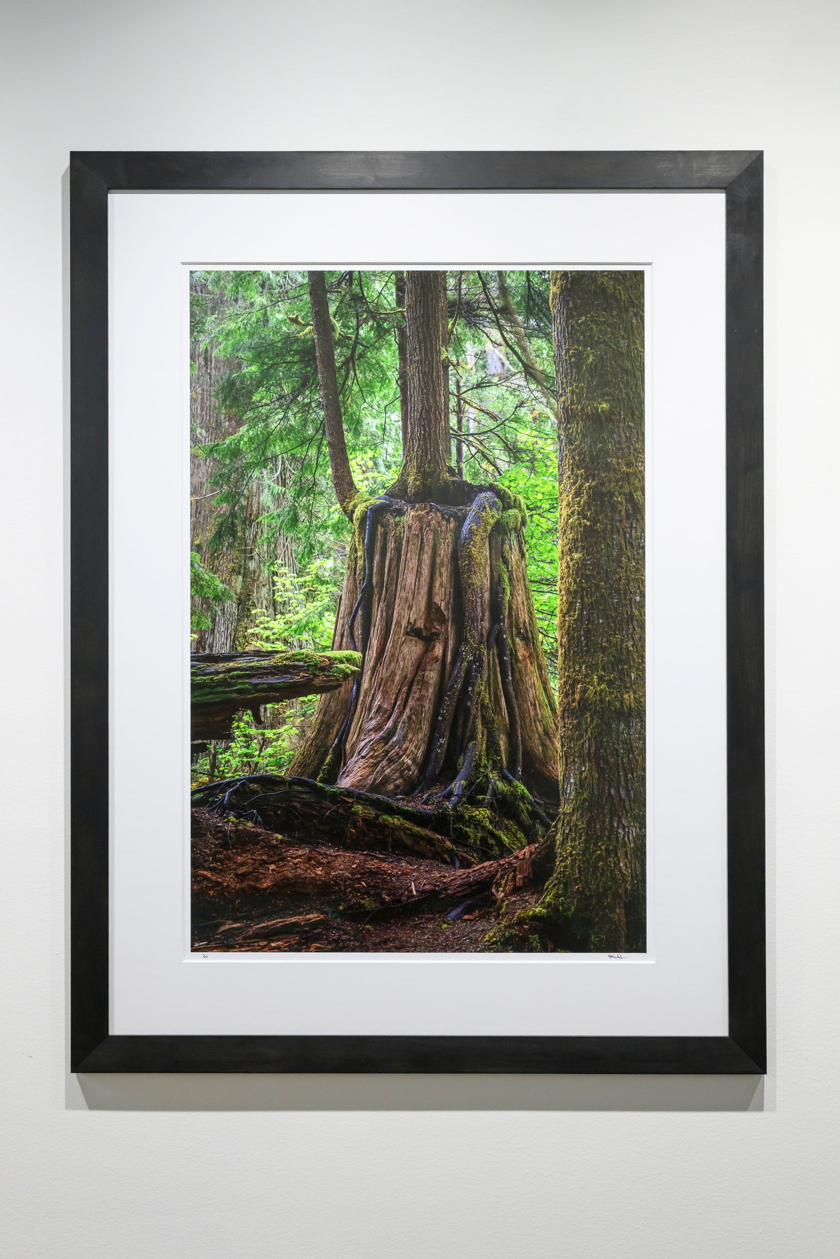Embrace - Weeks Falls: 24x36 Limited Edition Framed Print