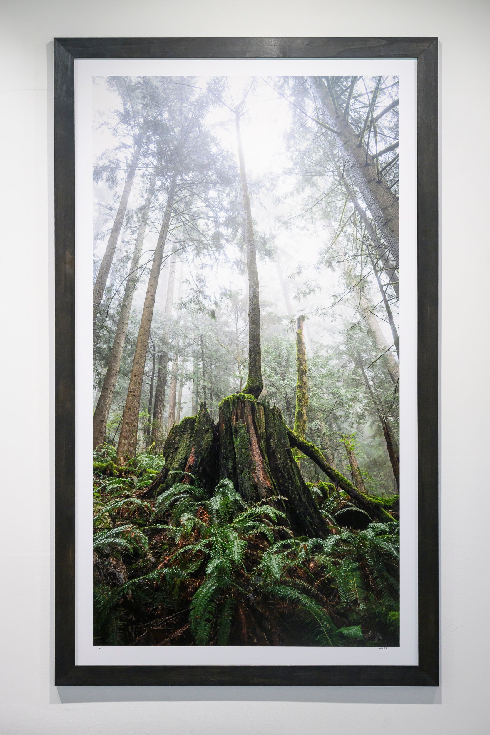 Reaching - Mount Si: 30x56 Limited Edition Framed Print