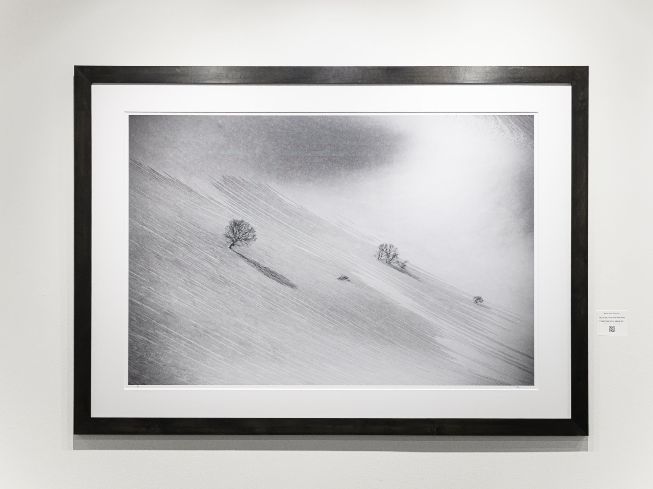 Sparse Trees on Nurikura: 32x48 Limited Edition Framed Print