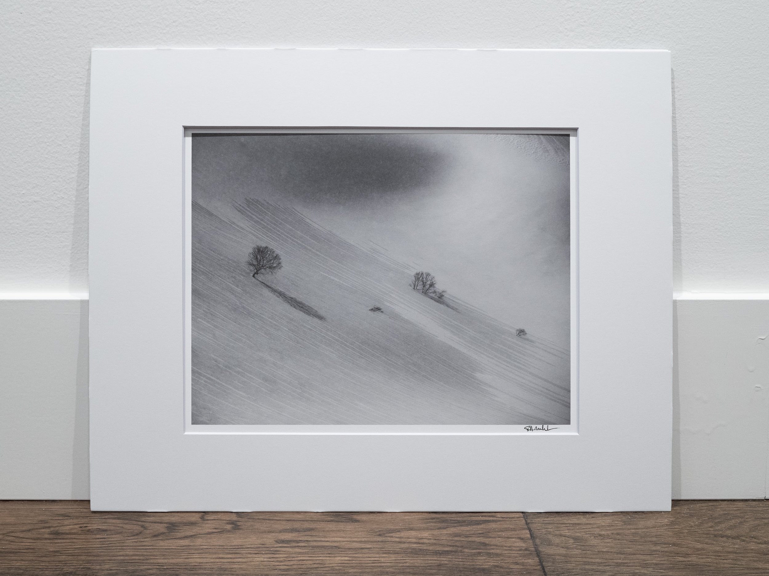 Sparse Trees on Norikura: 11x14 Open Edition Matted Print