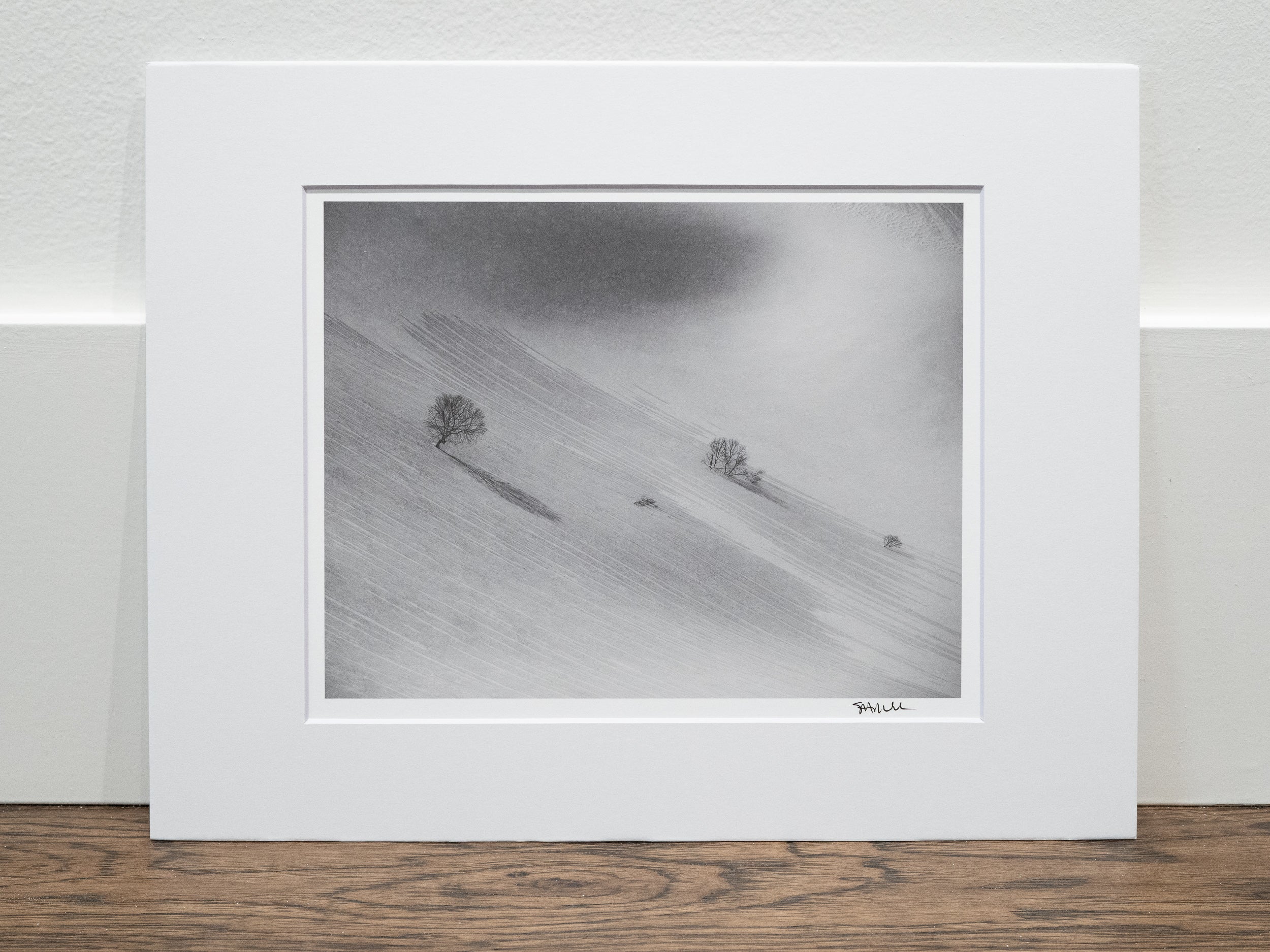 Sparse Trees on Nurikura: 8x10 Open Edition Matted Print