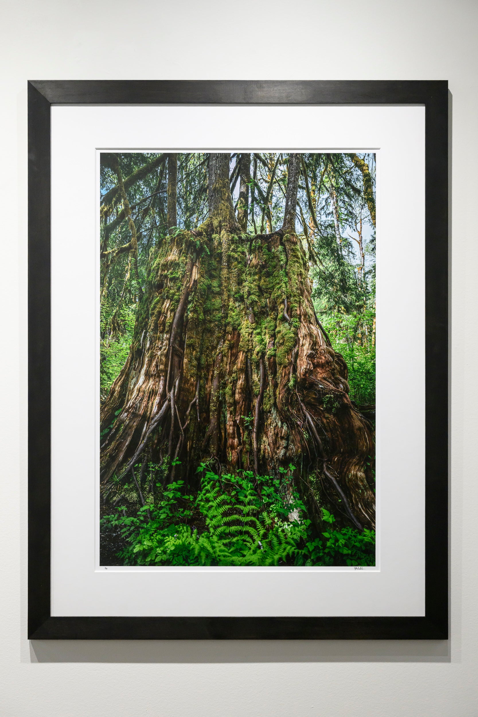 Synthesis - Oxbow Loop: 24x36 Limited Edition Framed Print