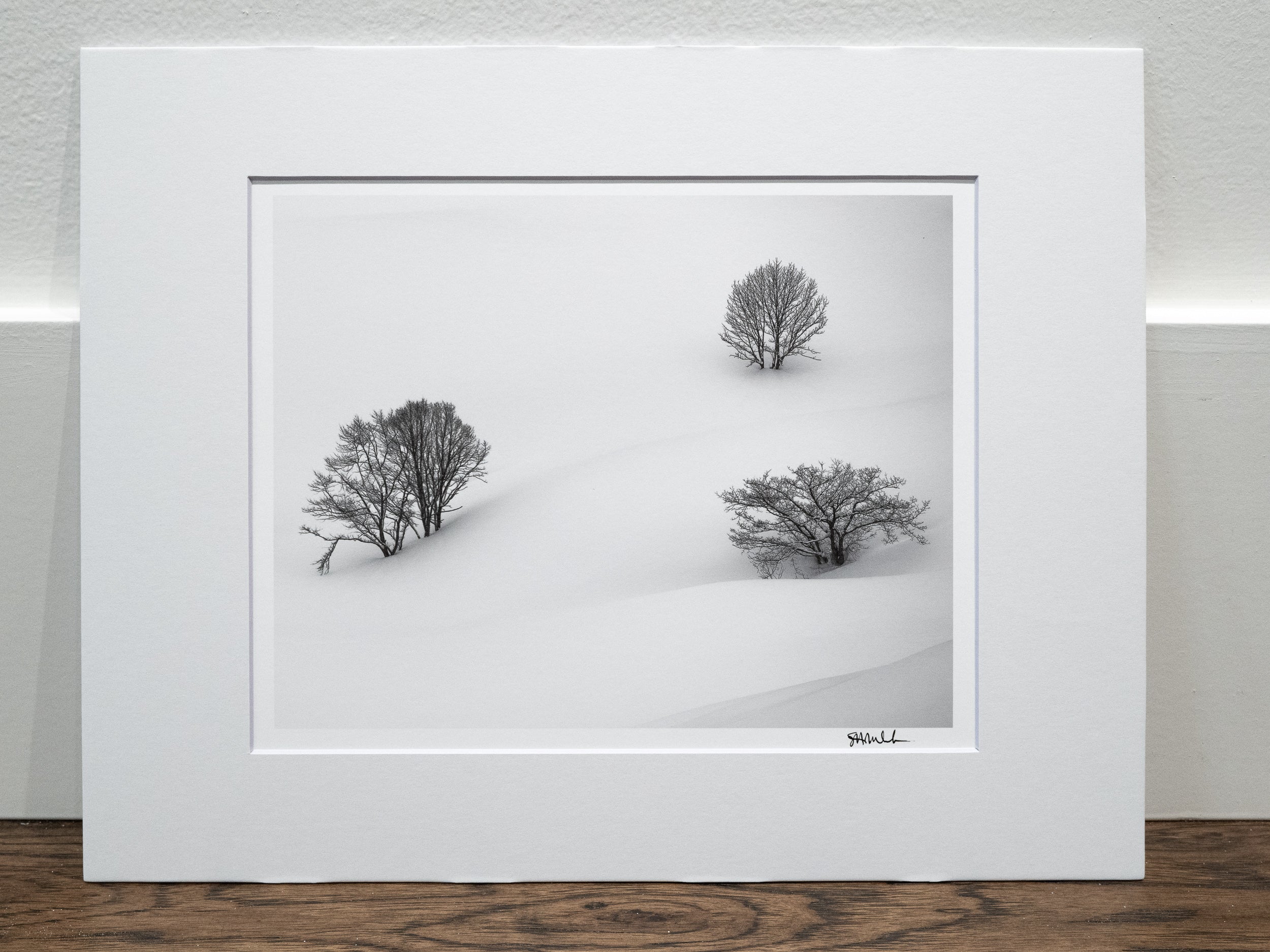 Three Trees in Hakuba: 8x10 Open Edition Matted Print