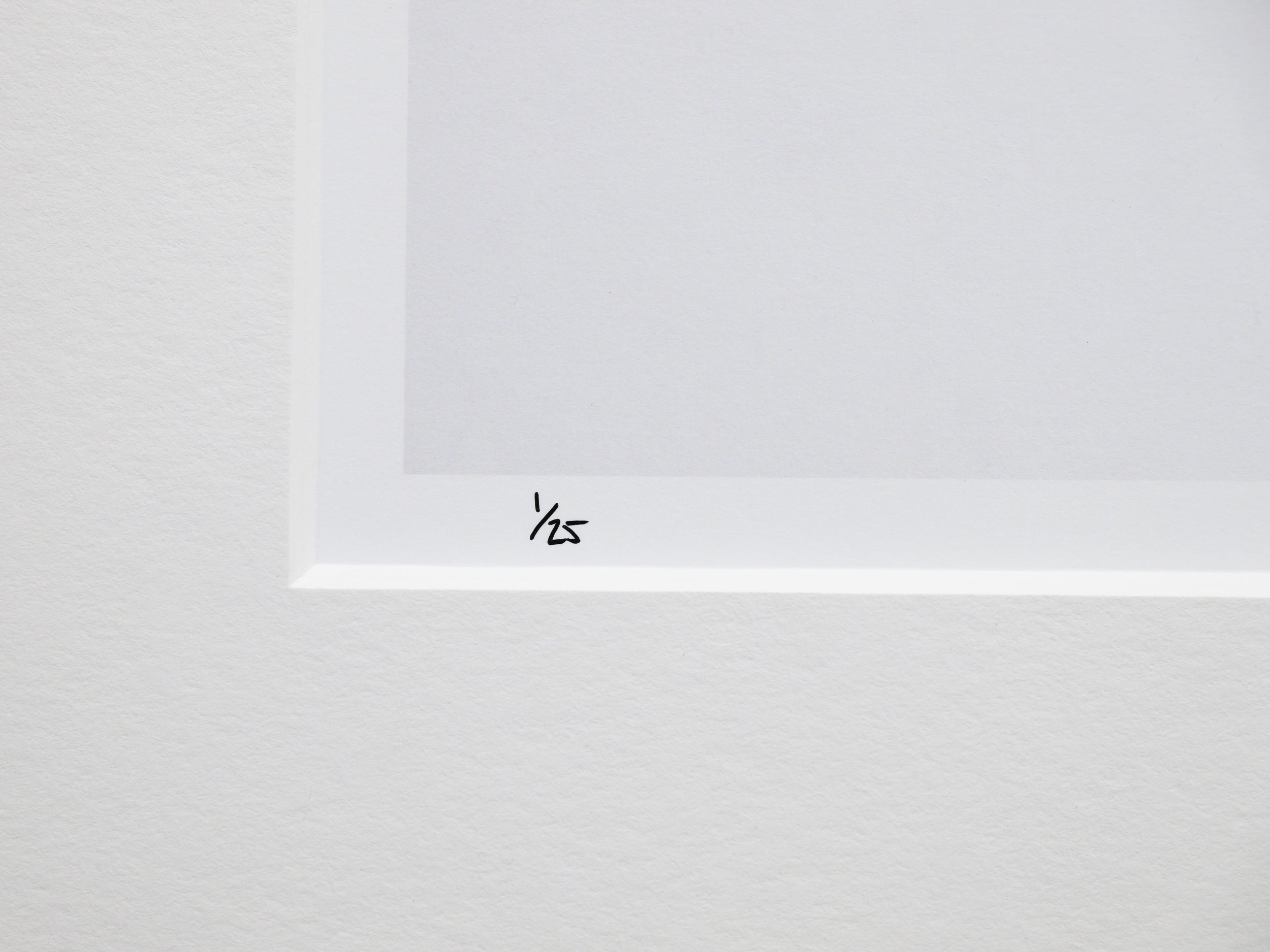 Birch on Myoko Mountainside: 24x36 Limited Edition Print