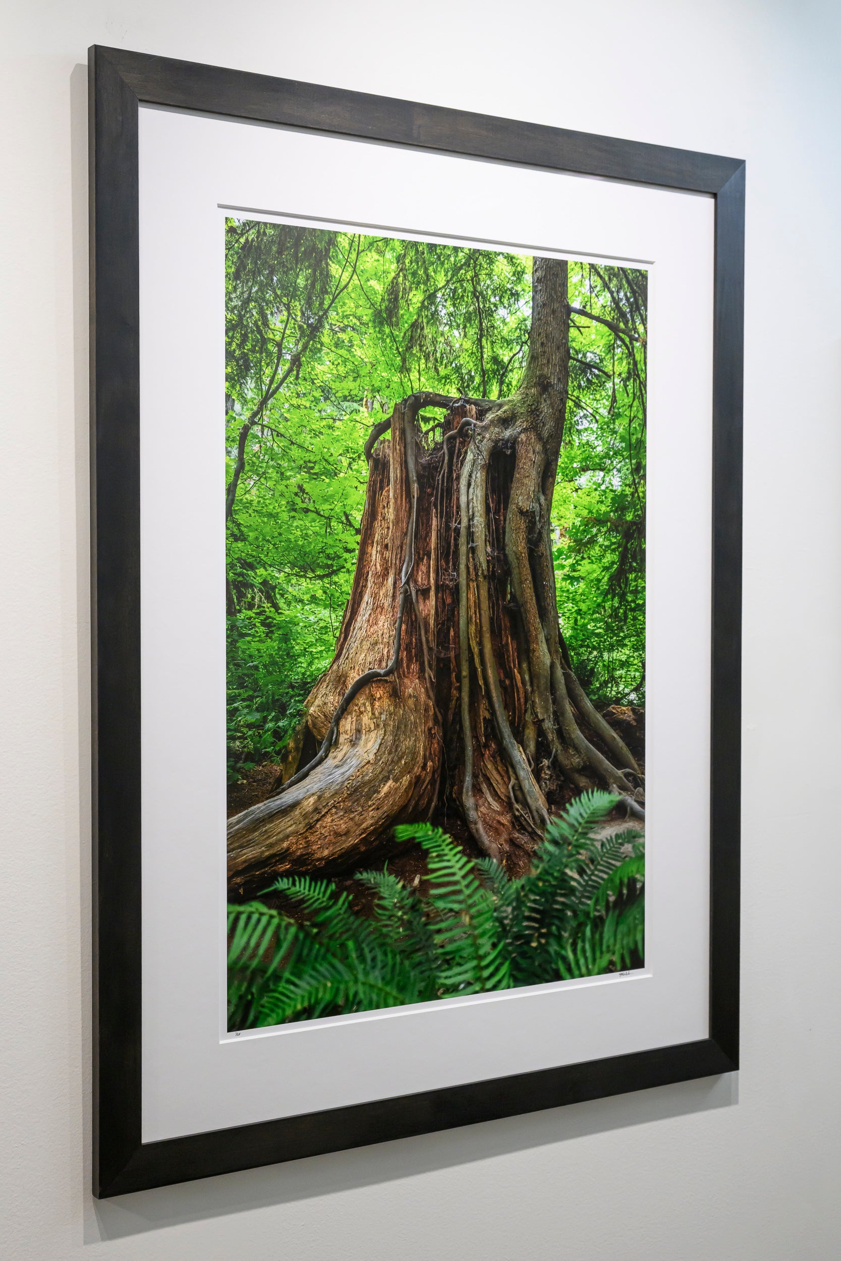 Continuation - Snoqualmie Falls: 24x36 Limited Edition Framed Print