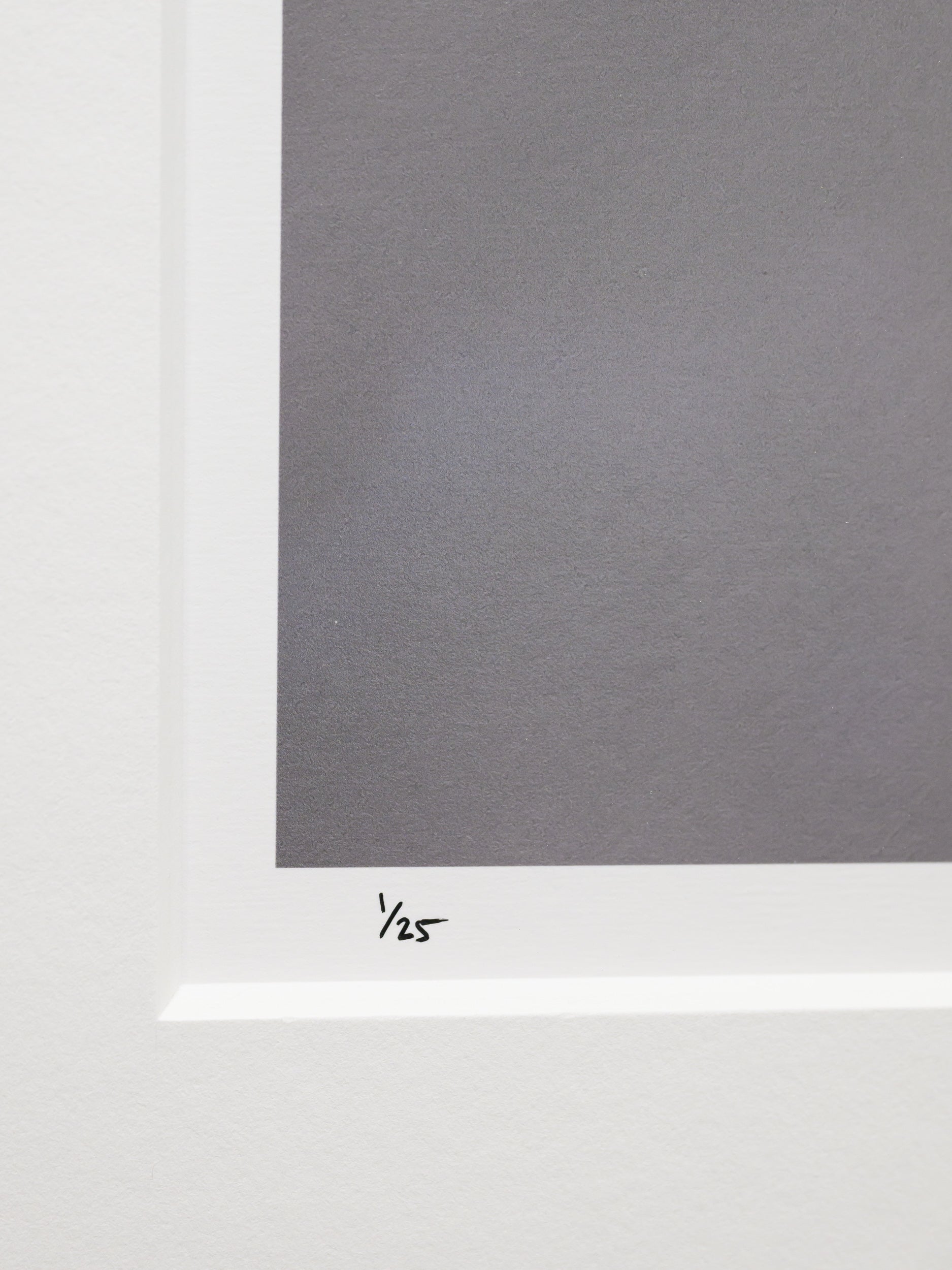 Deep Powder on Goryu Spine: Limited Edition Print