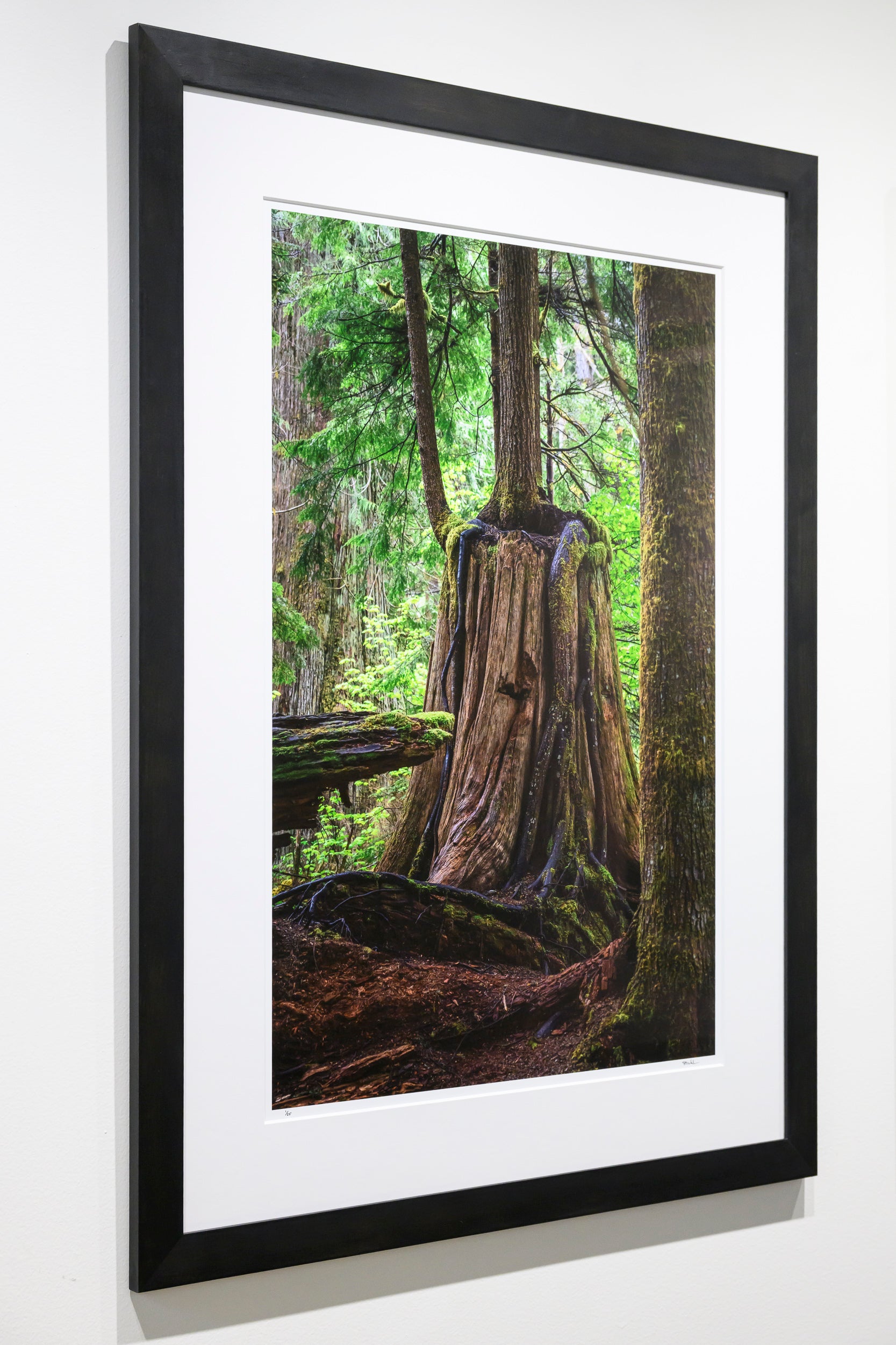 Embrace - Weeks Falls: 24x36 Limited Edition Framed Print