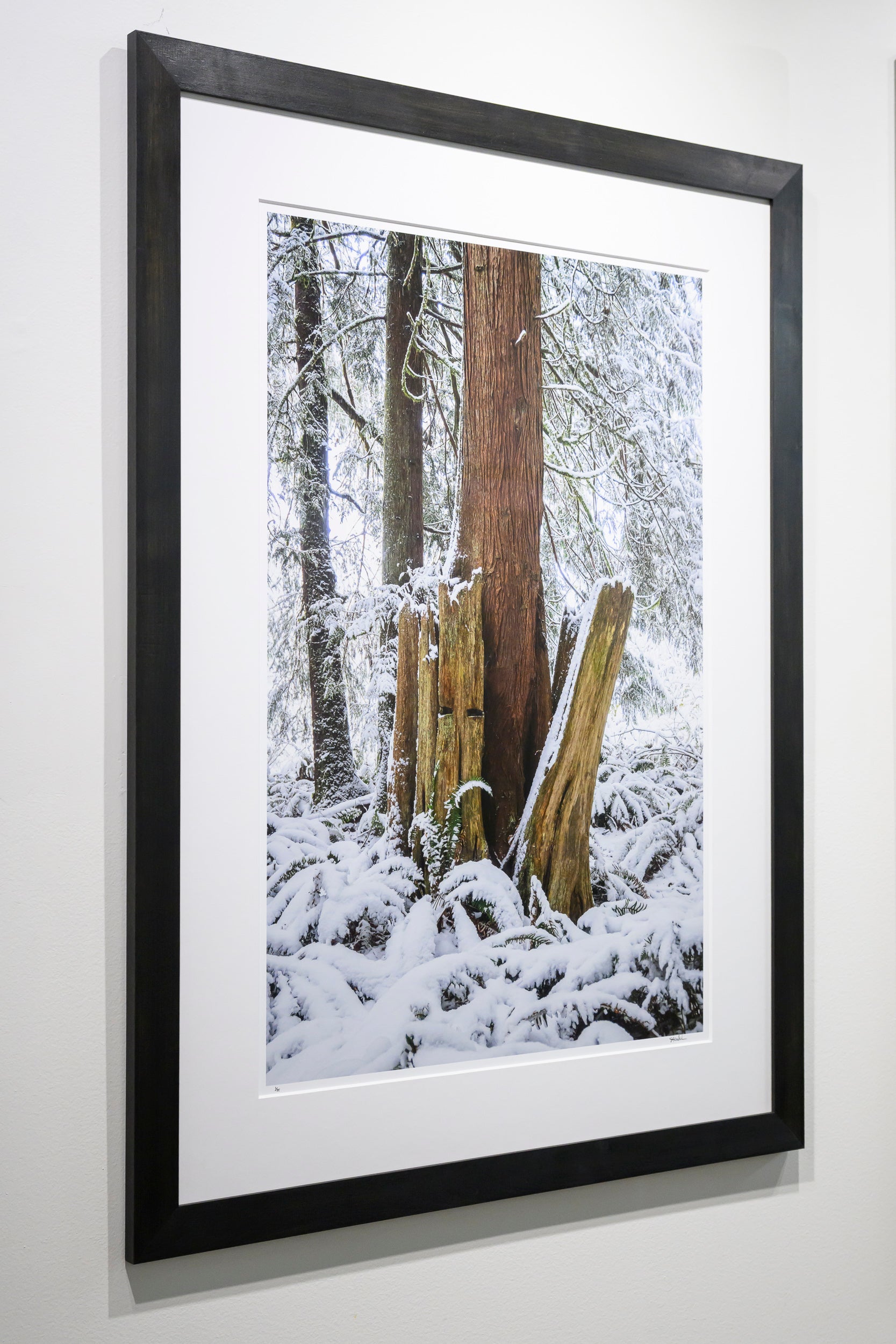 Emergence - Fall City: 24x36 Limited Edition Framed Print